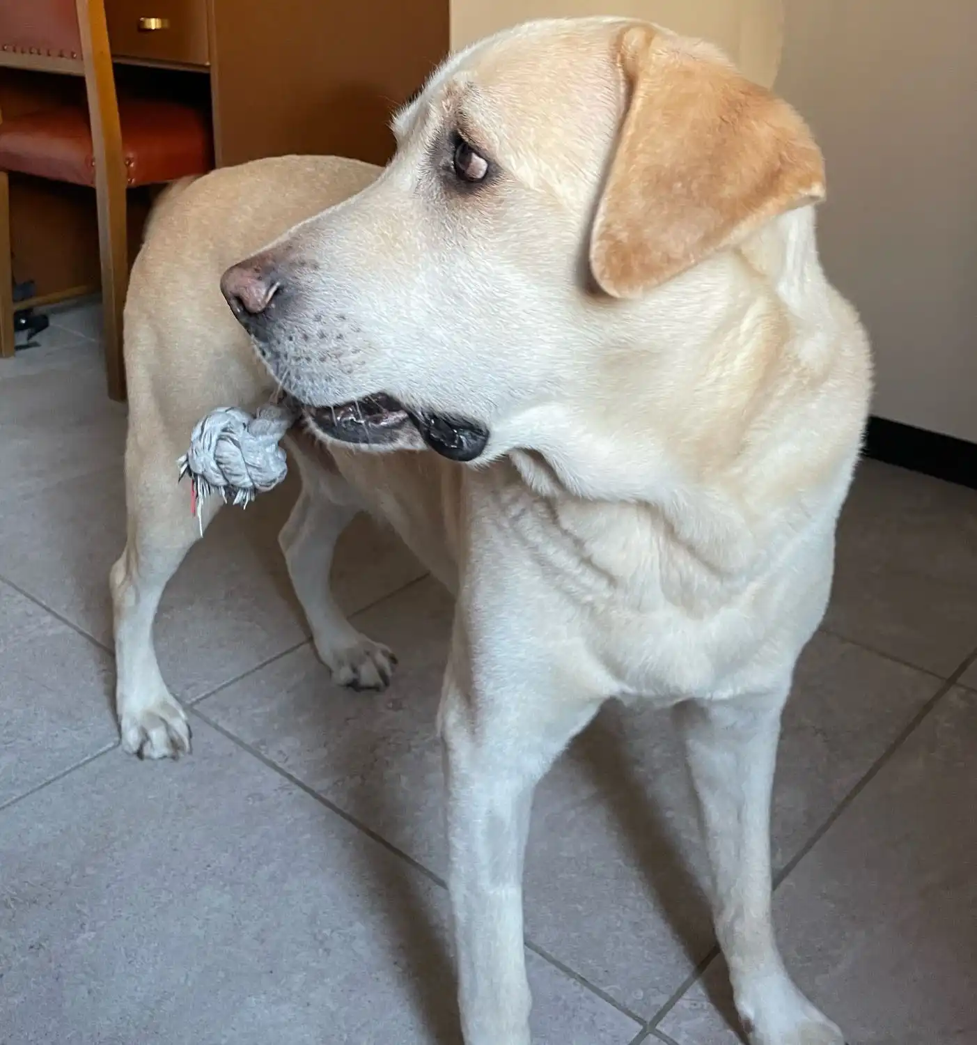 image-20