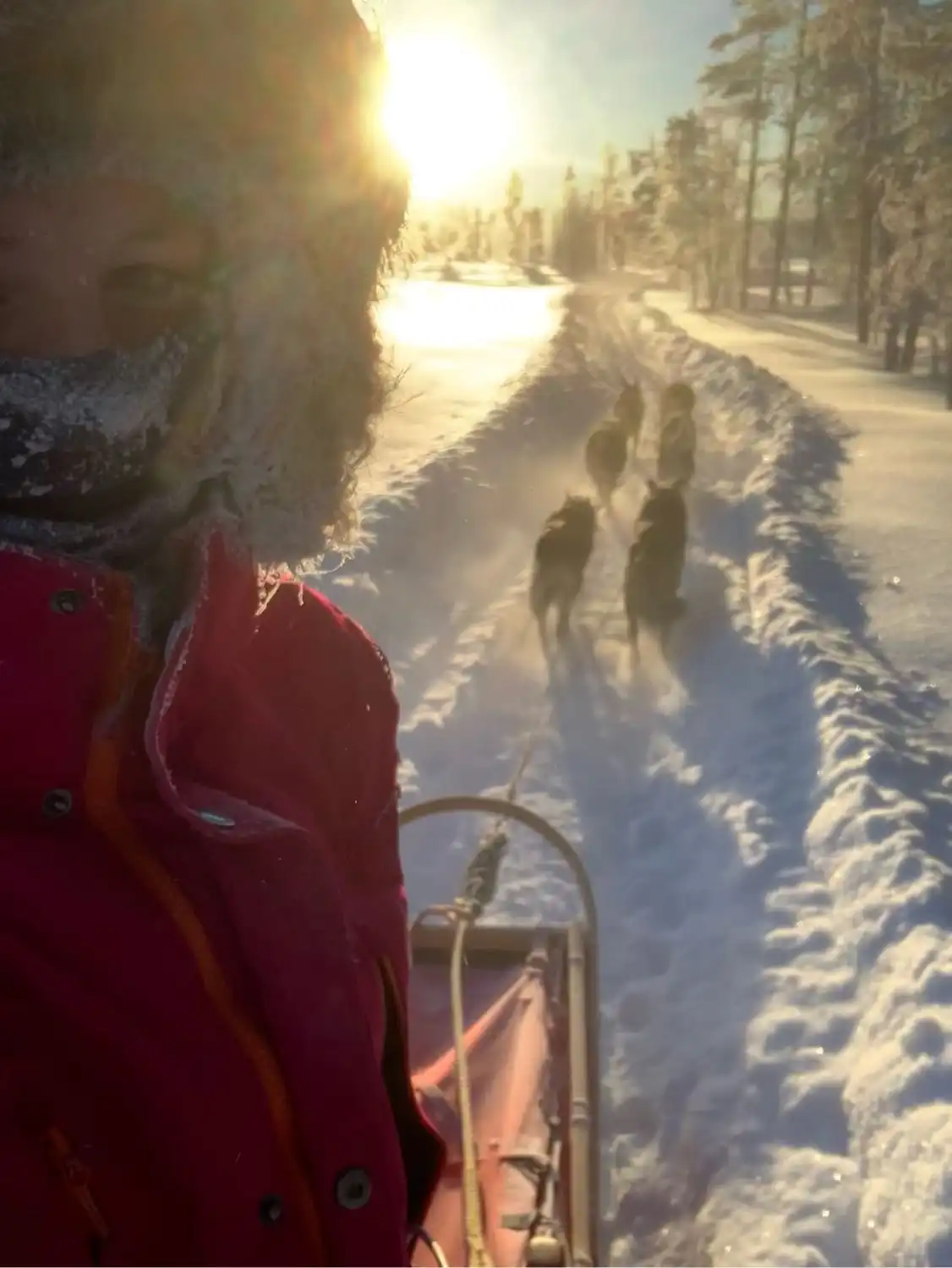 image-8