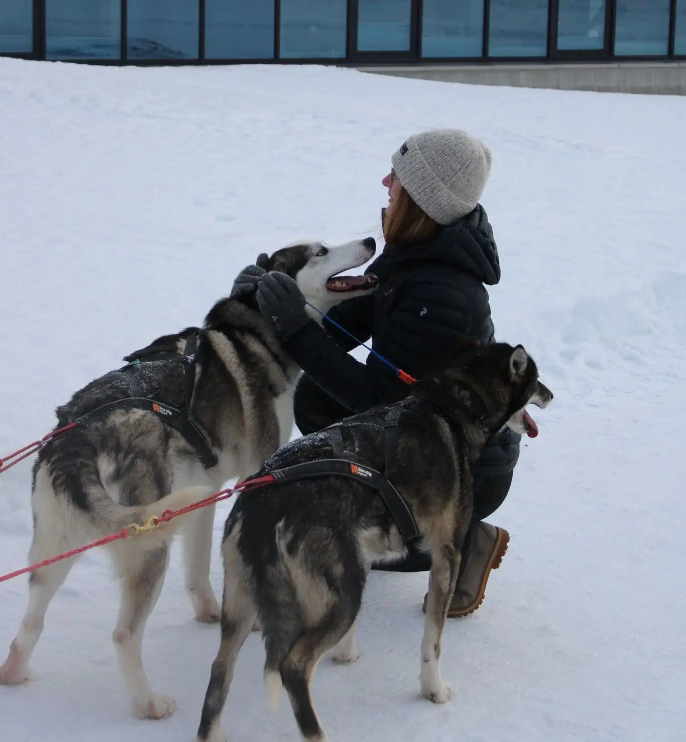image-7