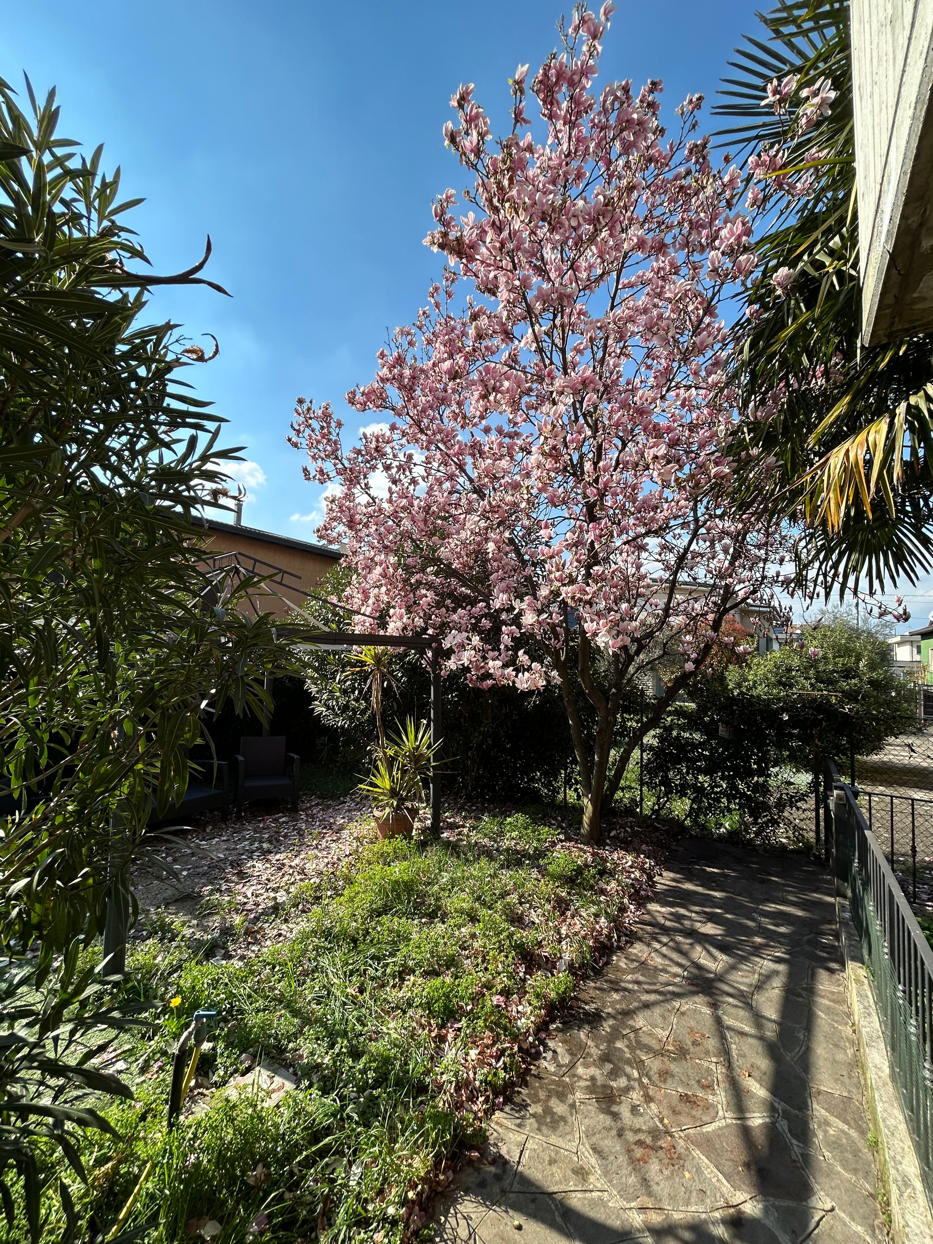 image-18