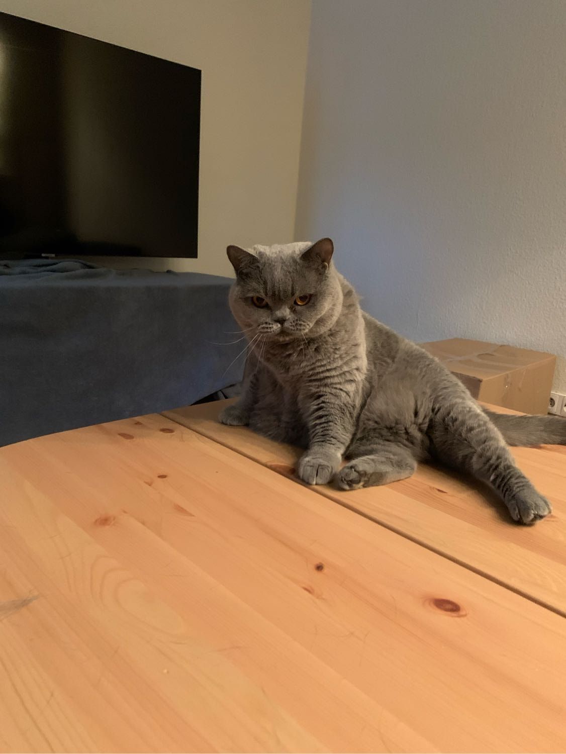 image-16