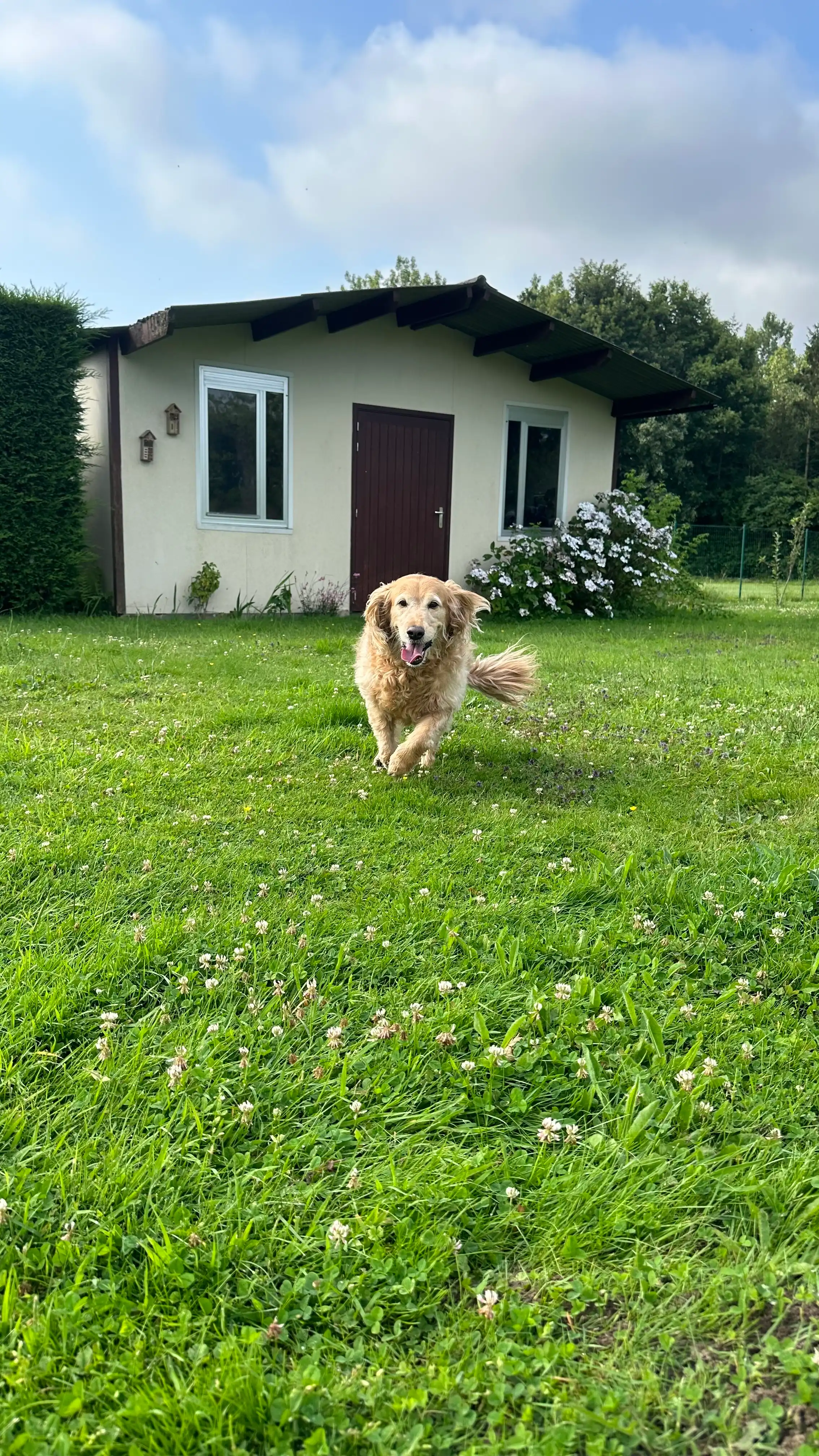 image-20