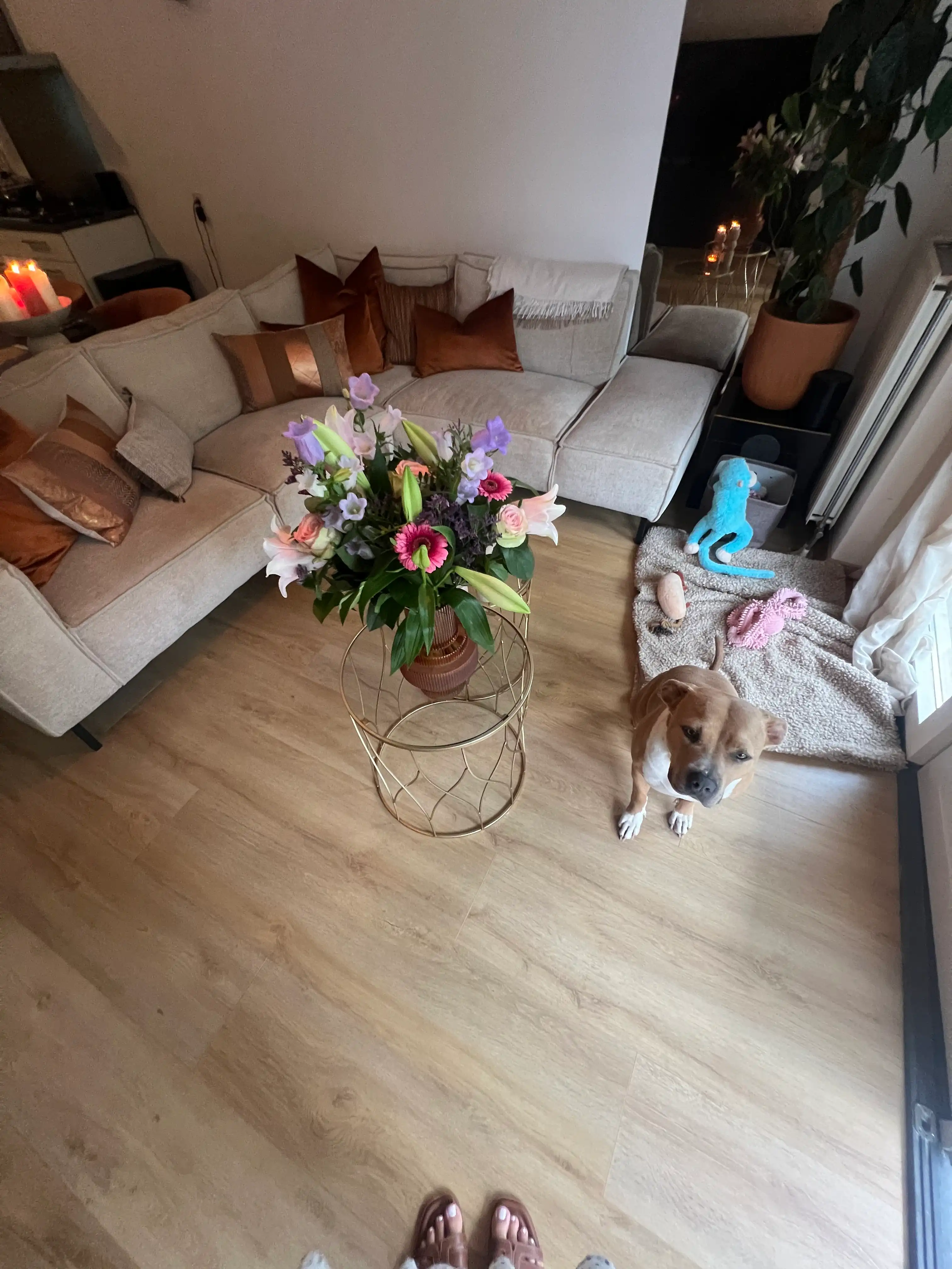 image-20