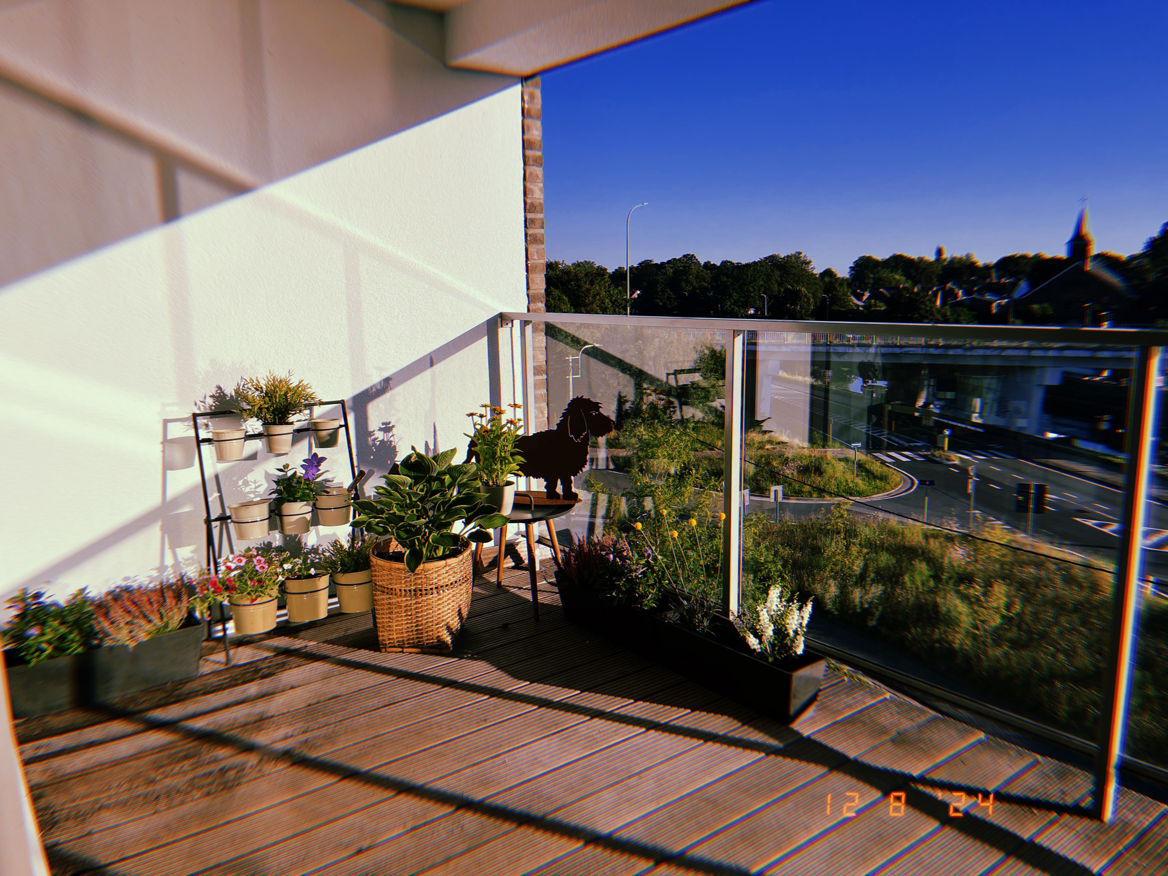 image-12