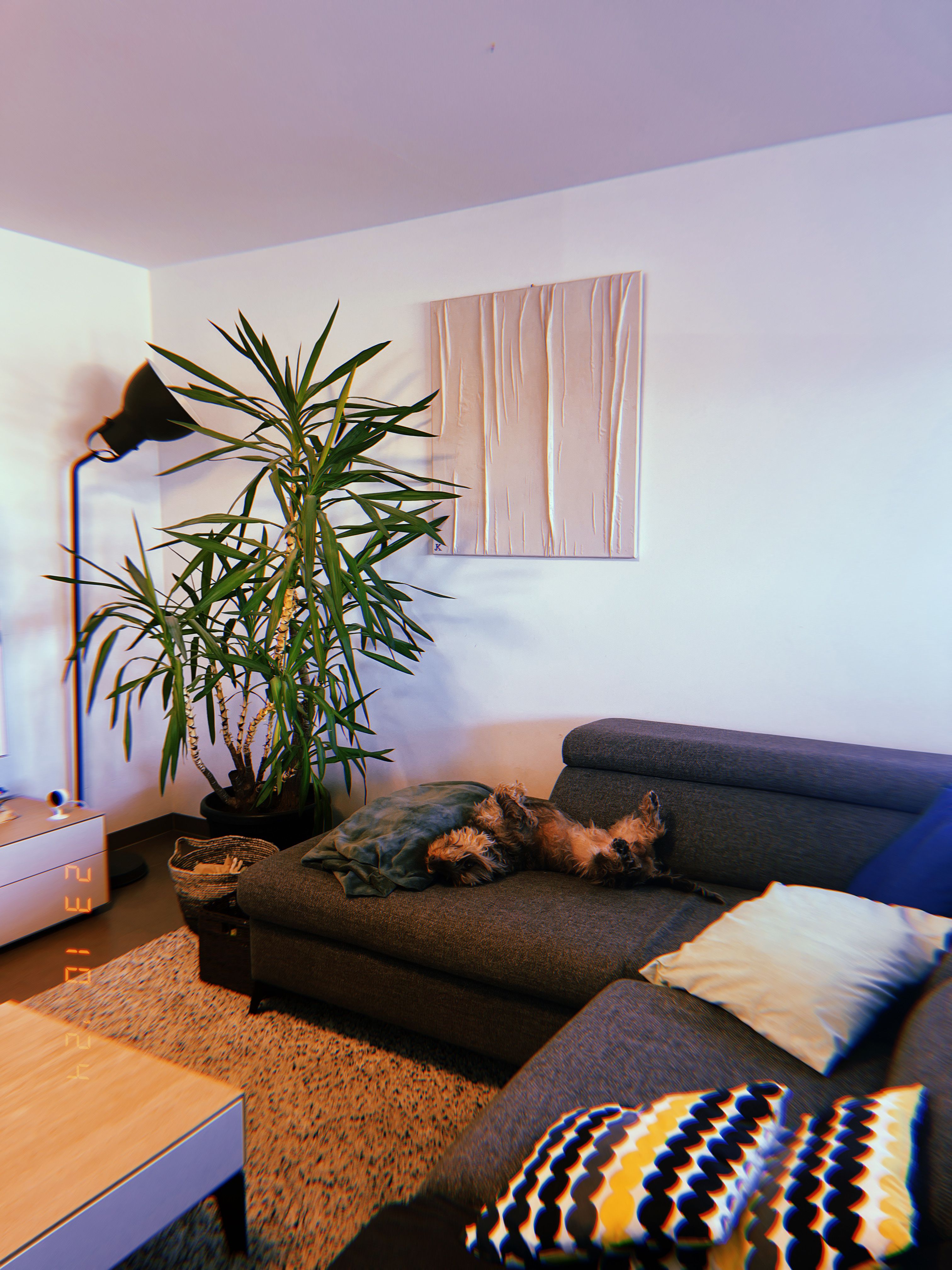 image-10
