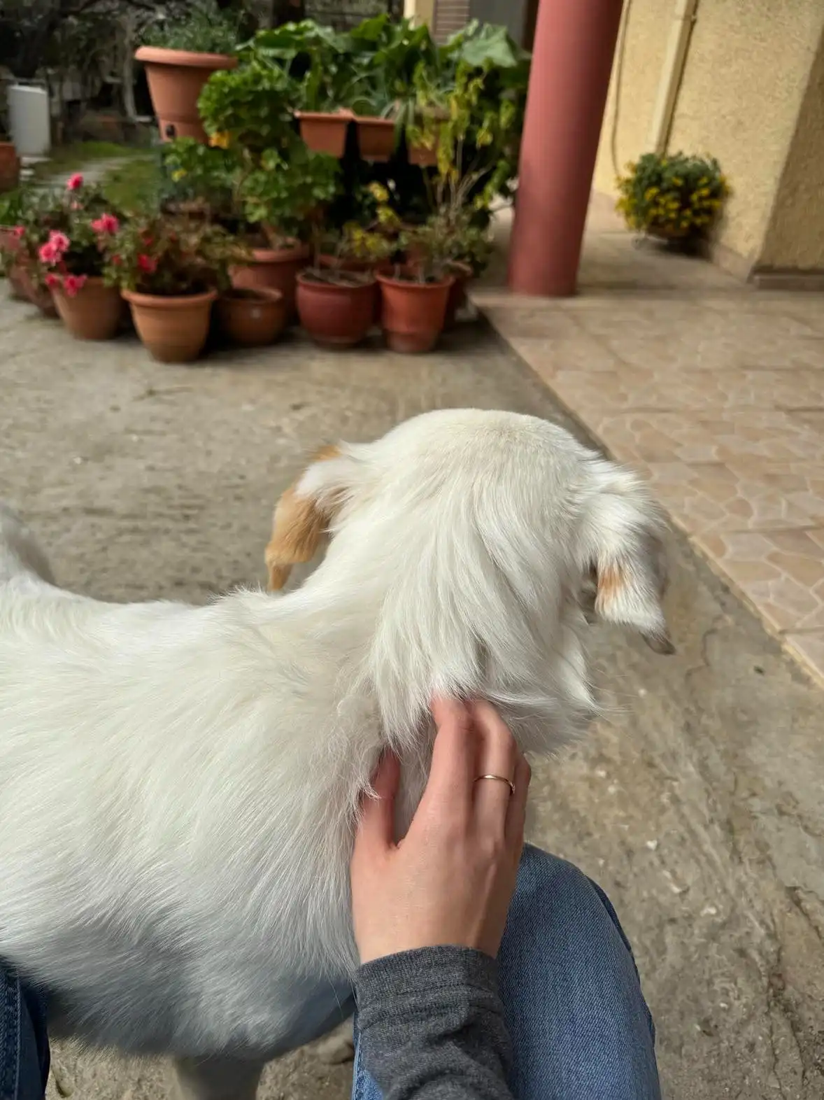 image-7
