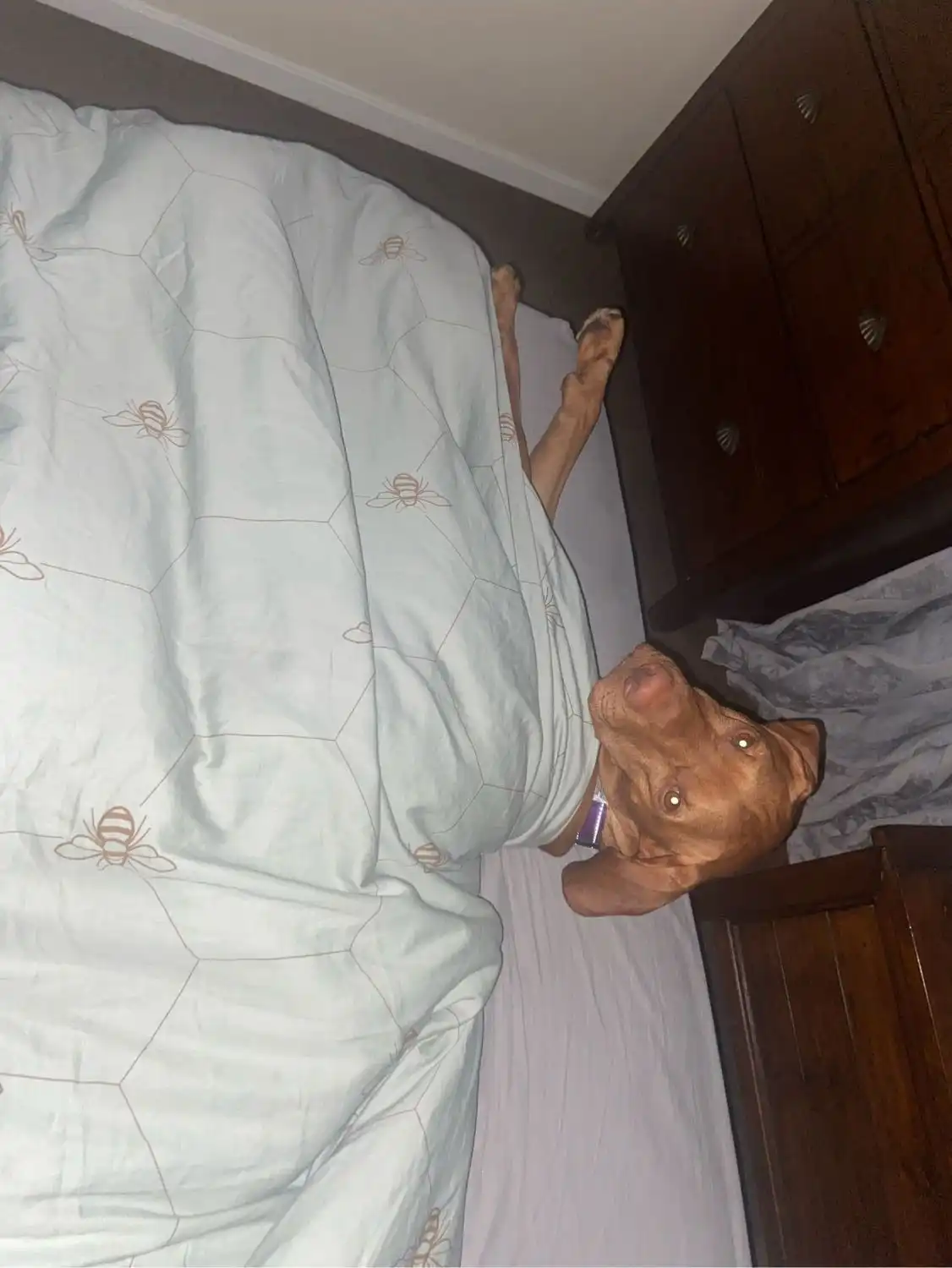 image-22
