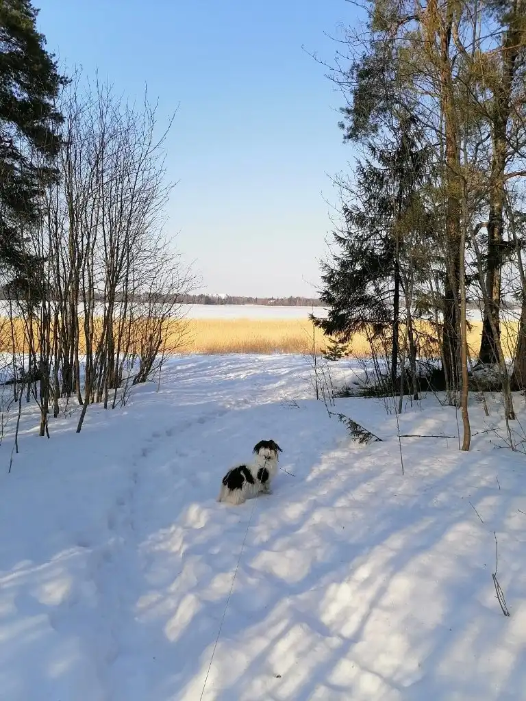 image-6