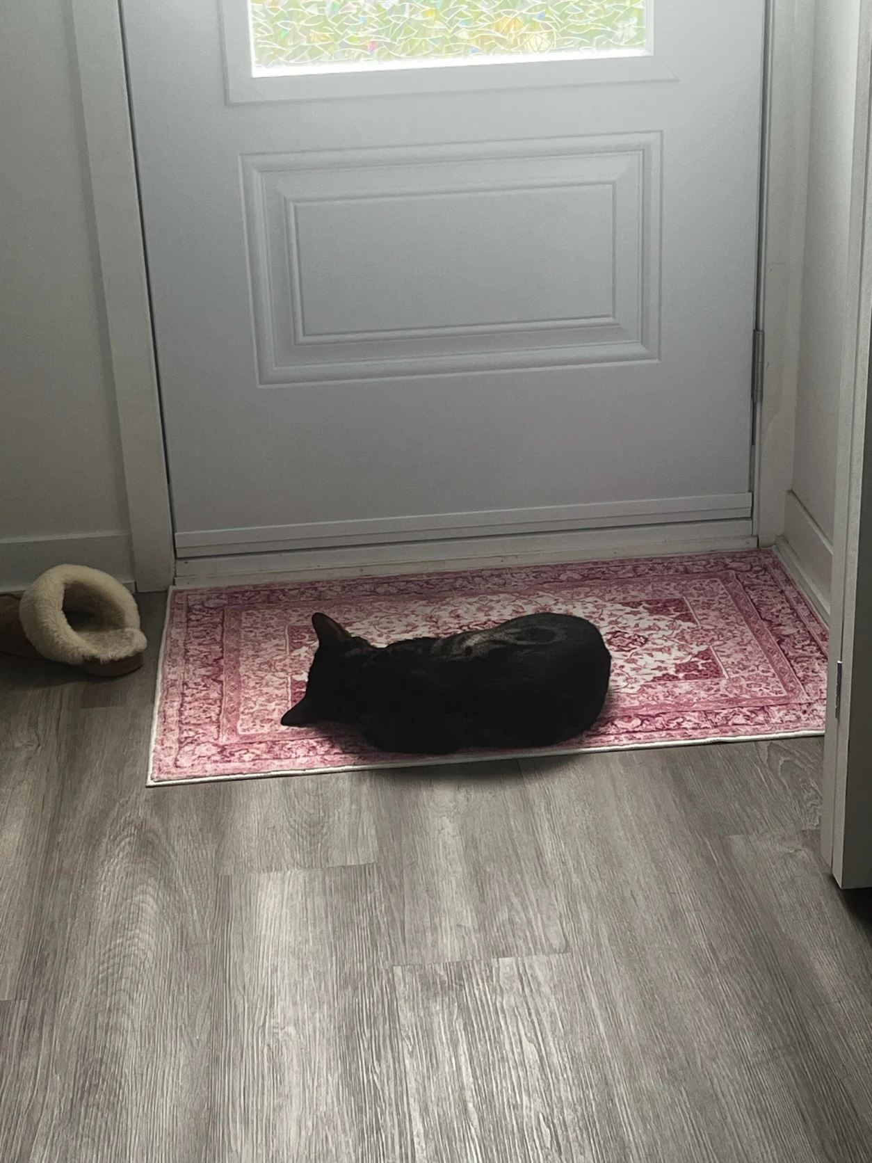 image-15