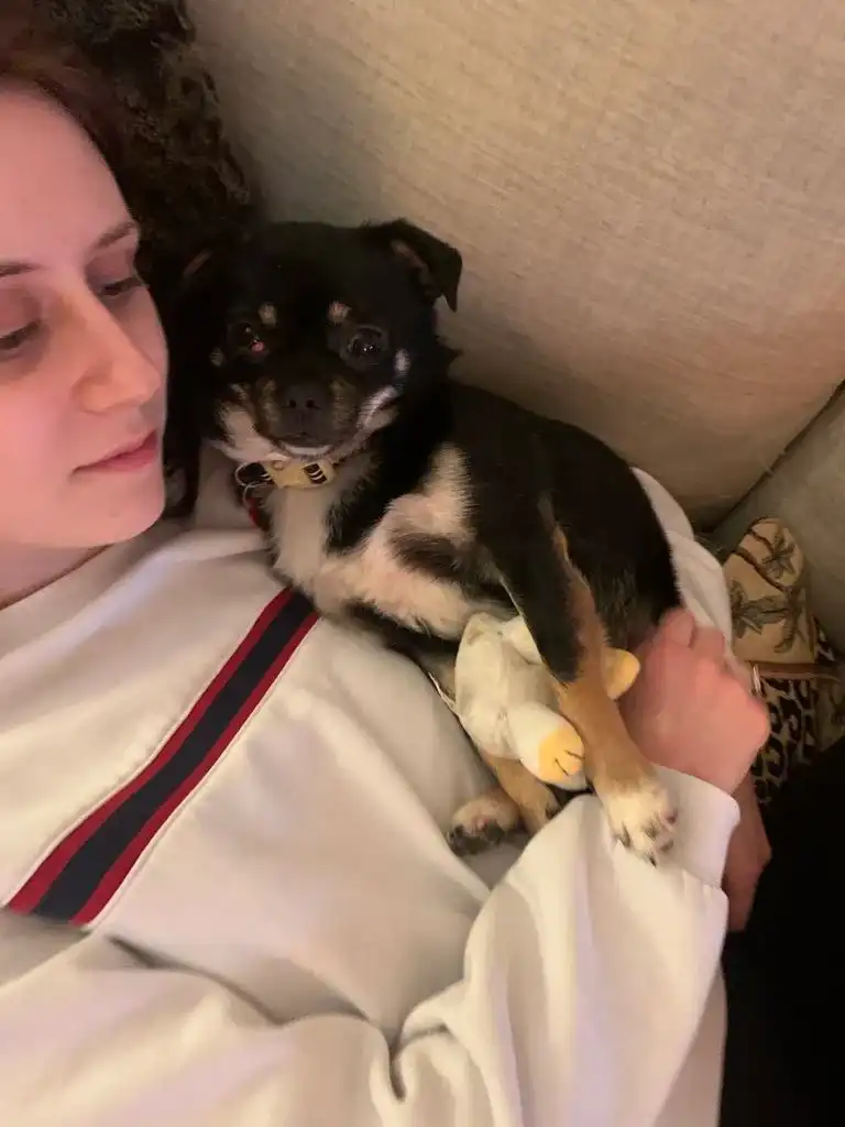 image-6