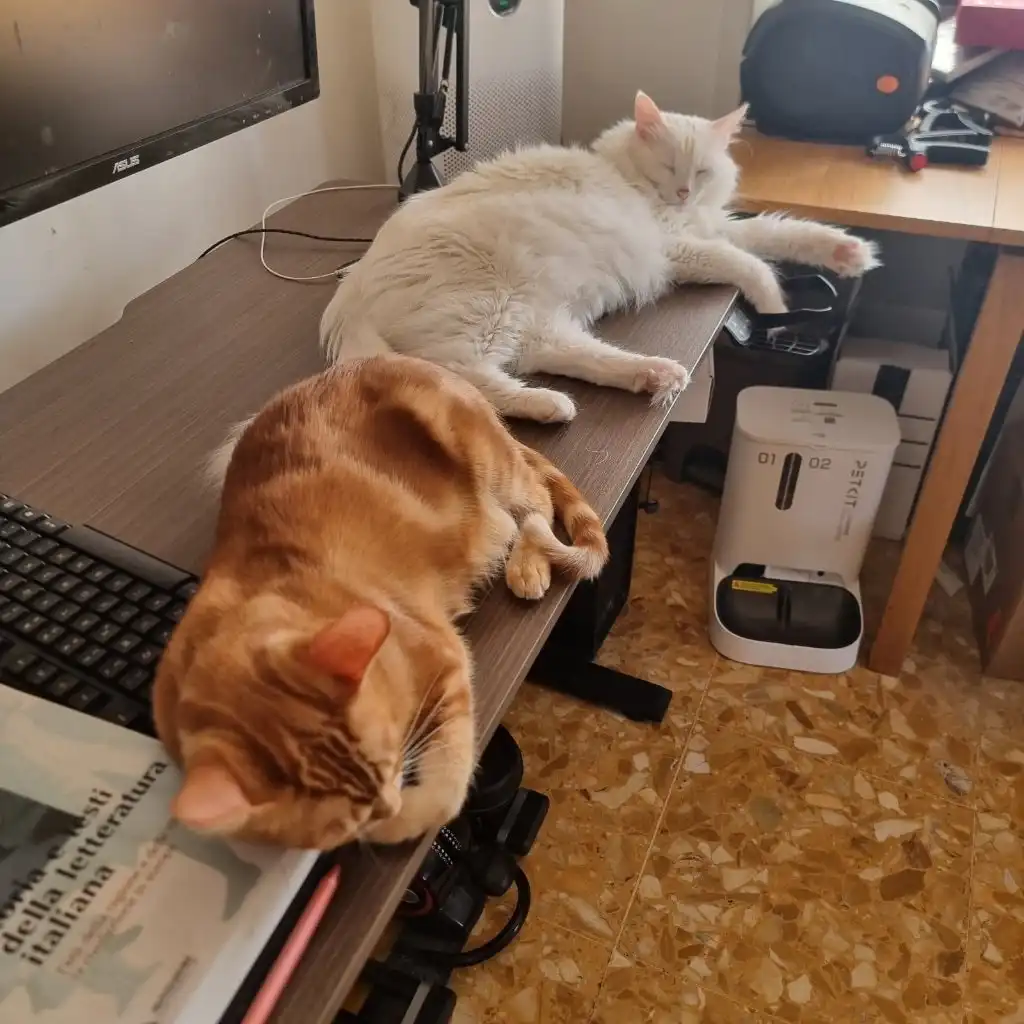 image-18