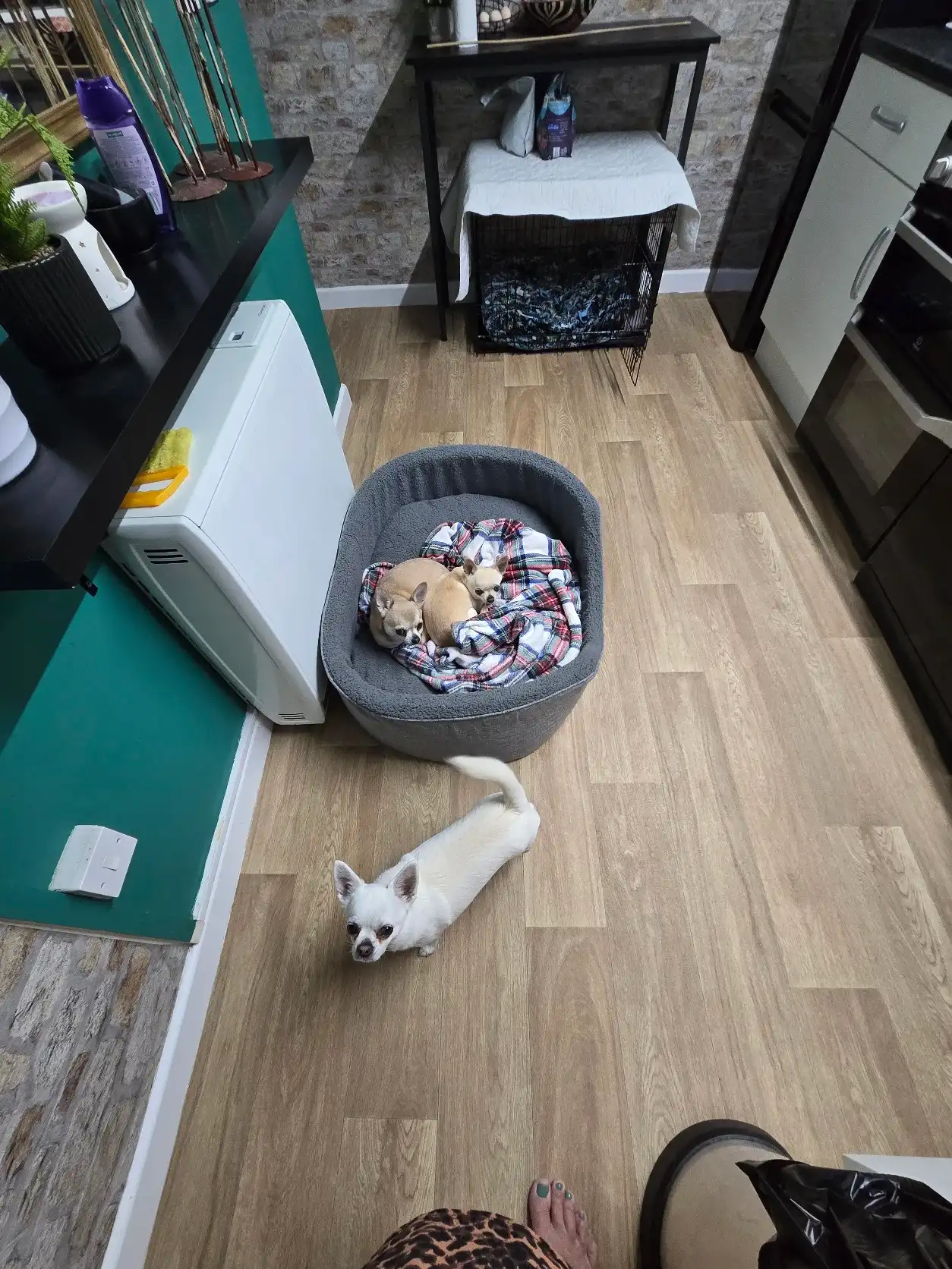 image-15