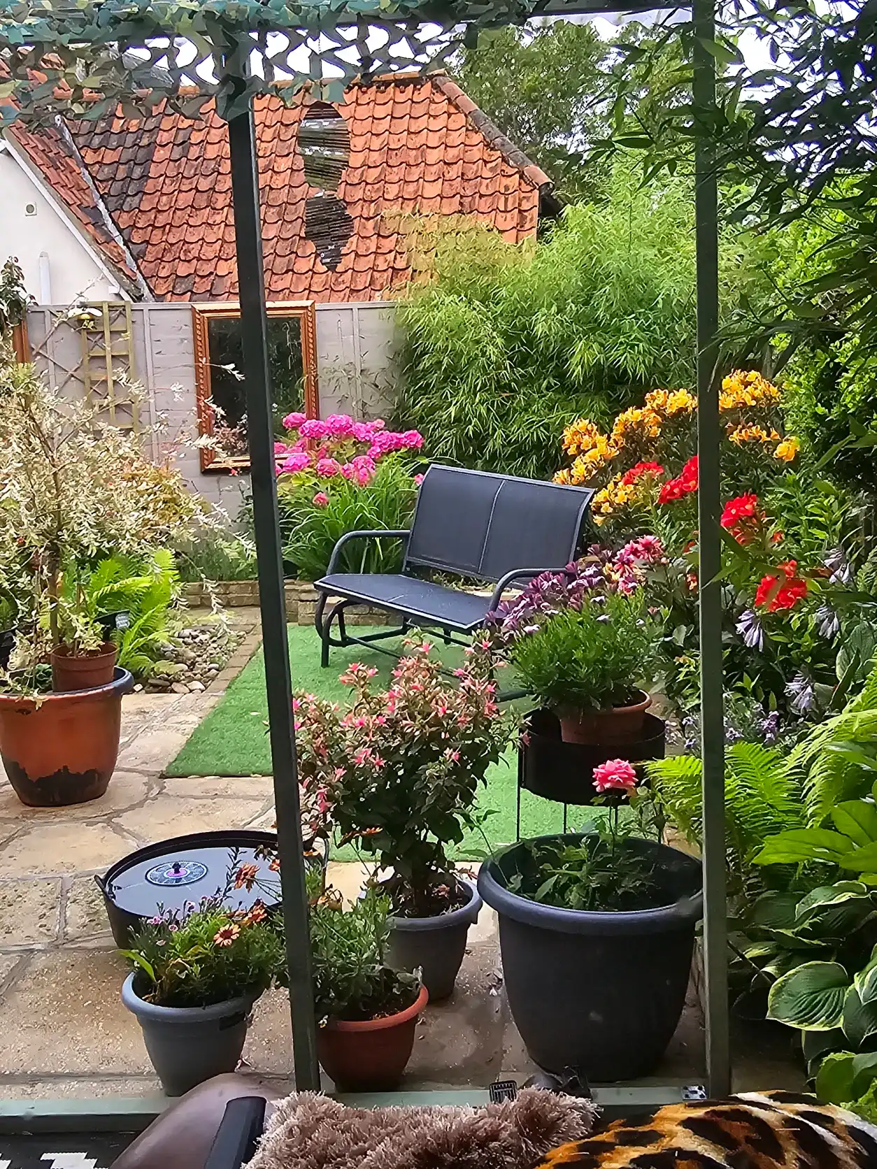 image-11