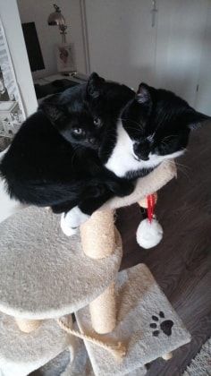 image-6
