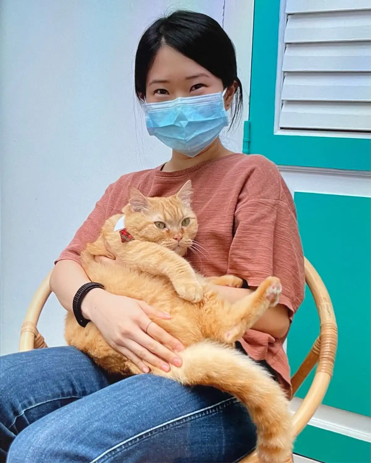image-6