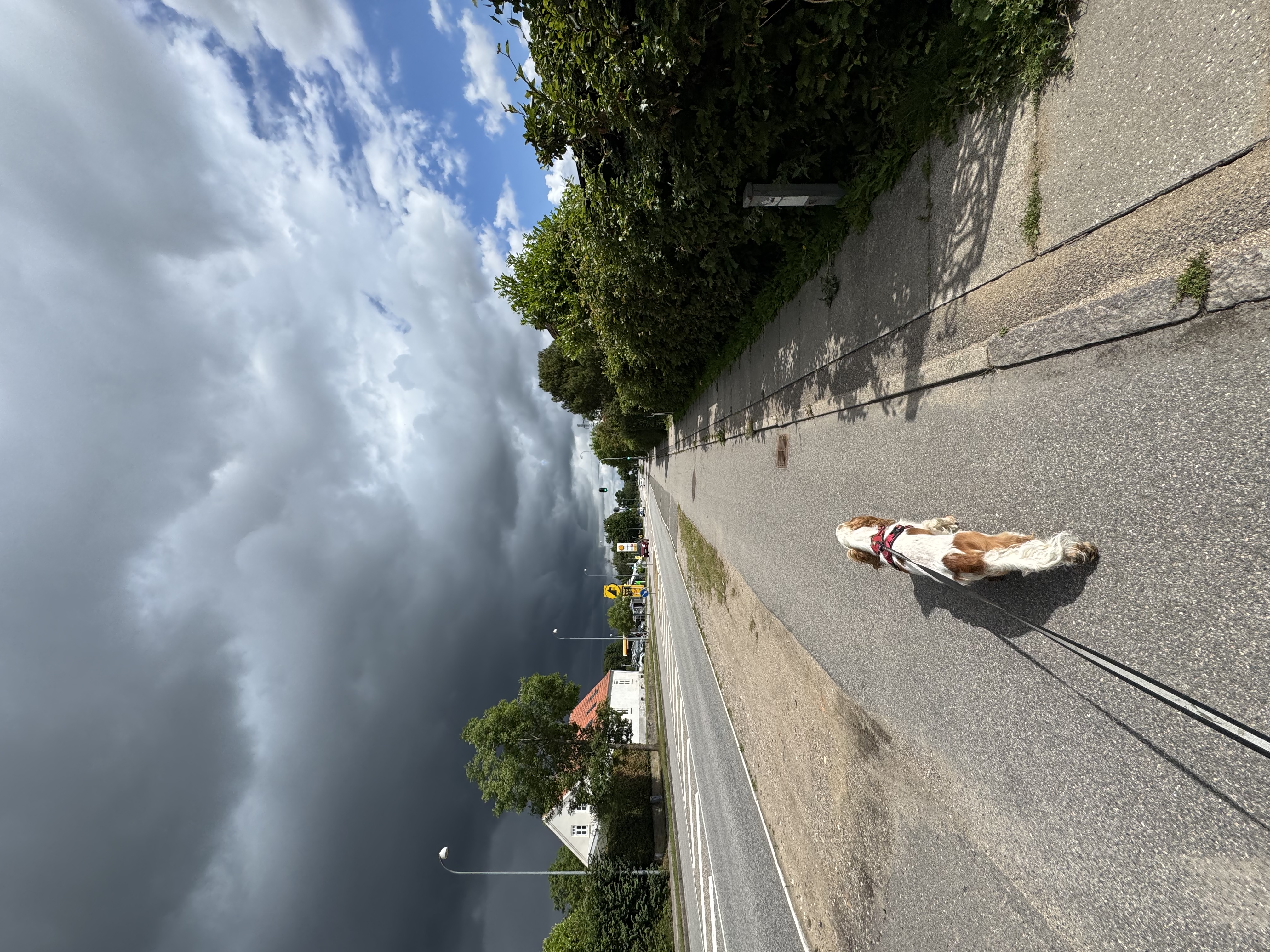 image-28