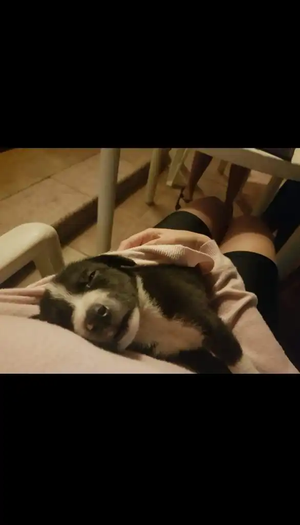 image-10
