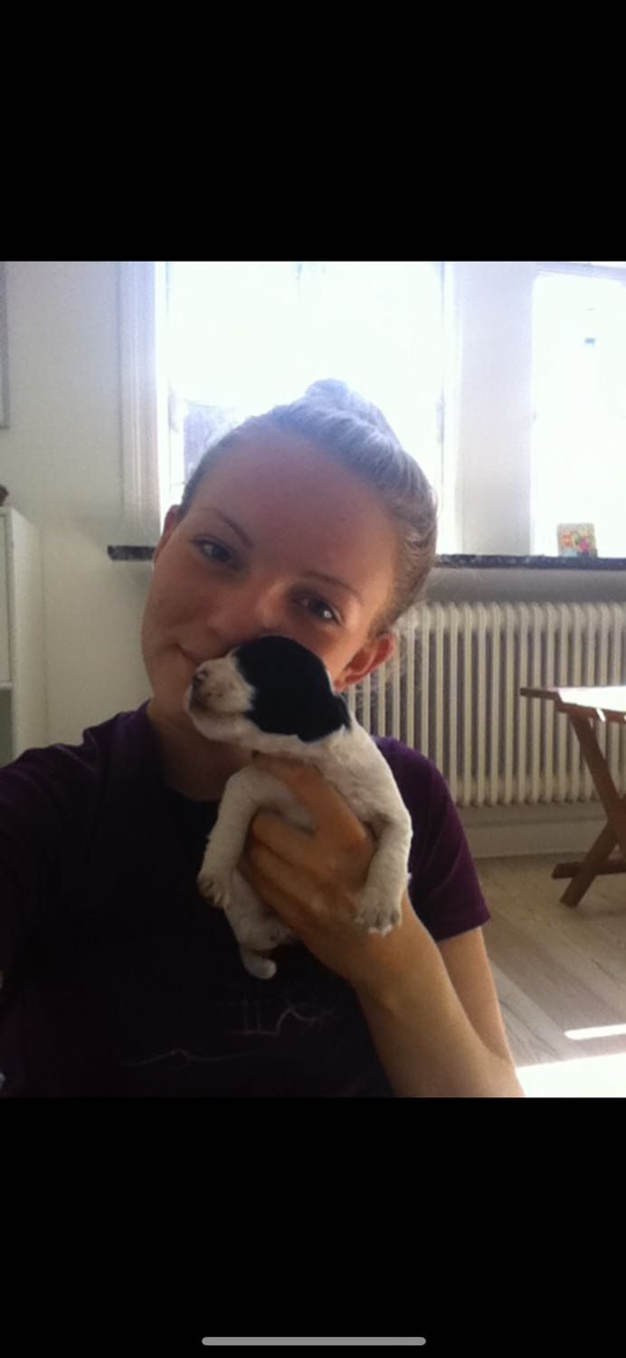 image-11