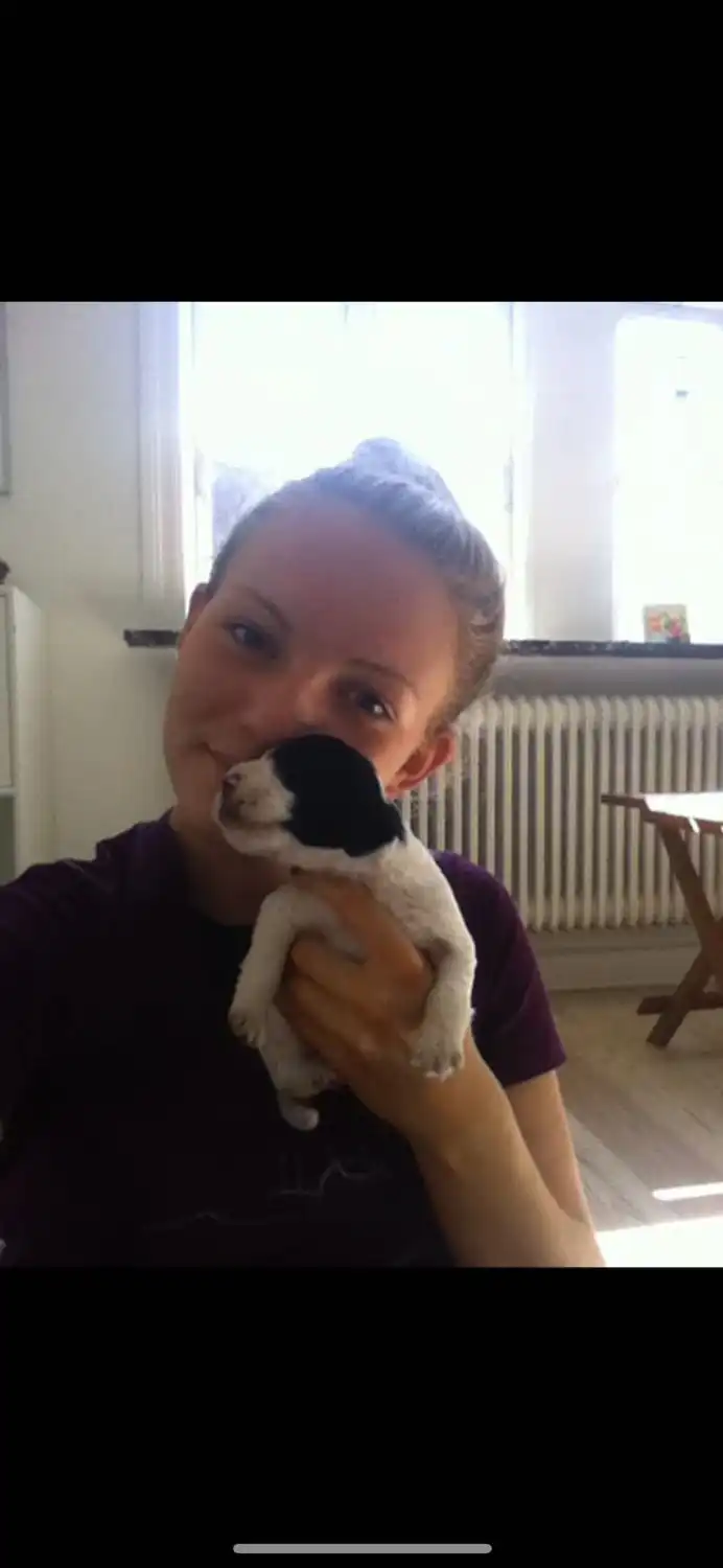 image-11