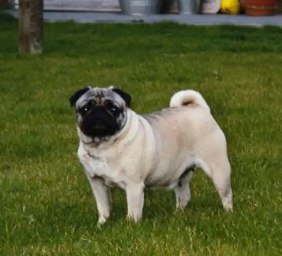 image-10