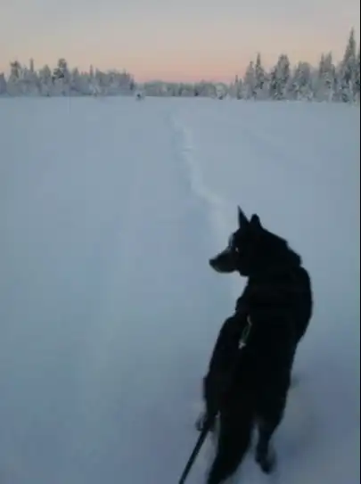 image-28