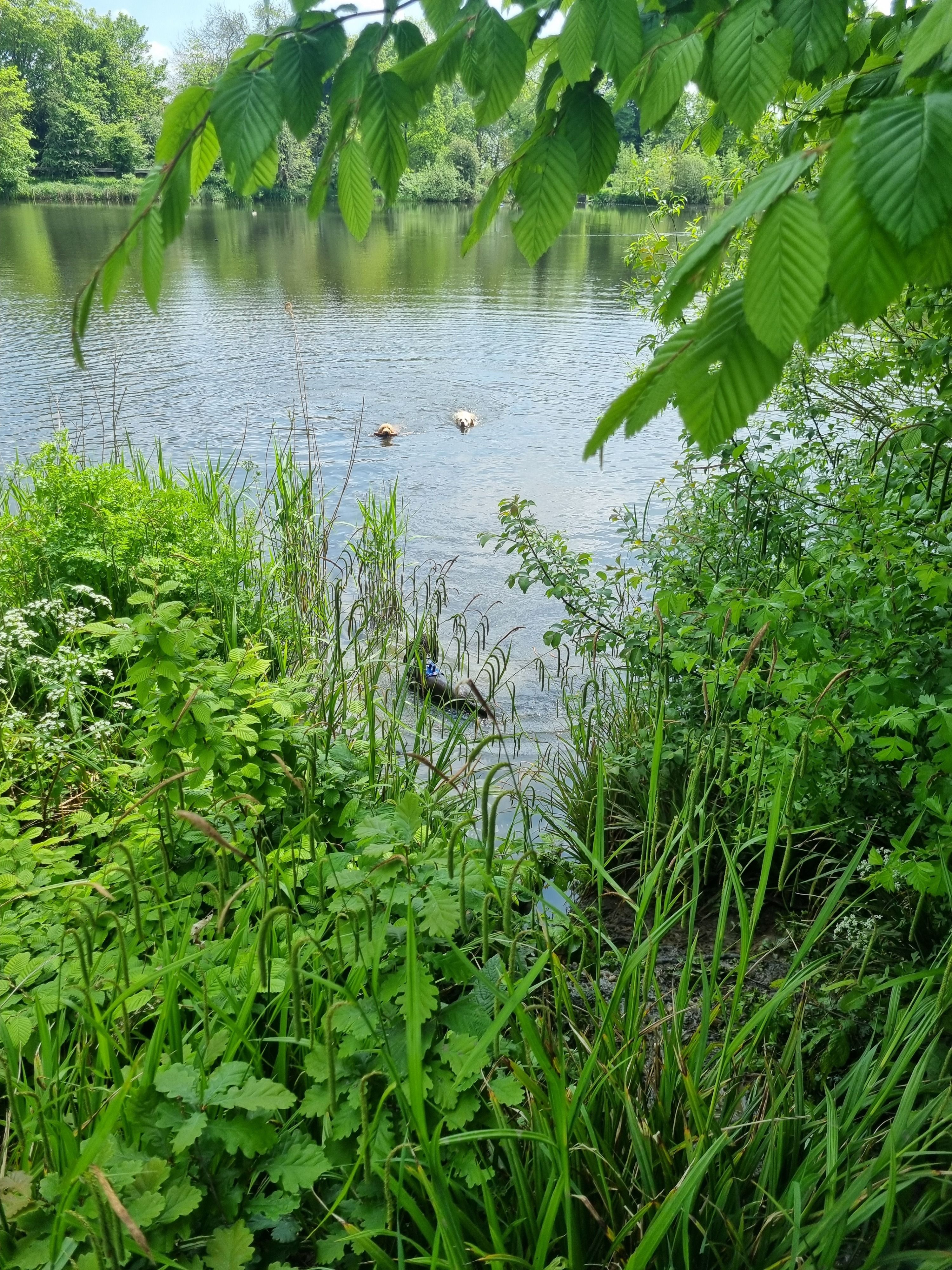 image-87
