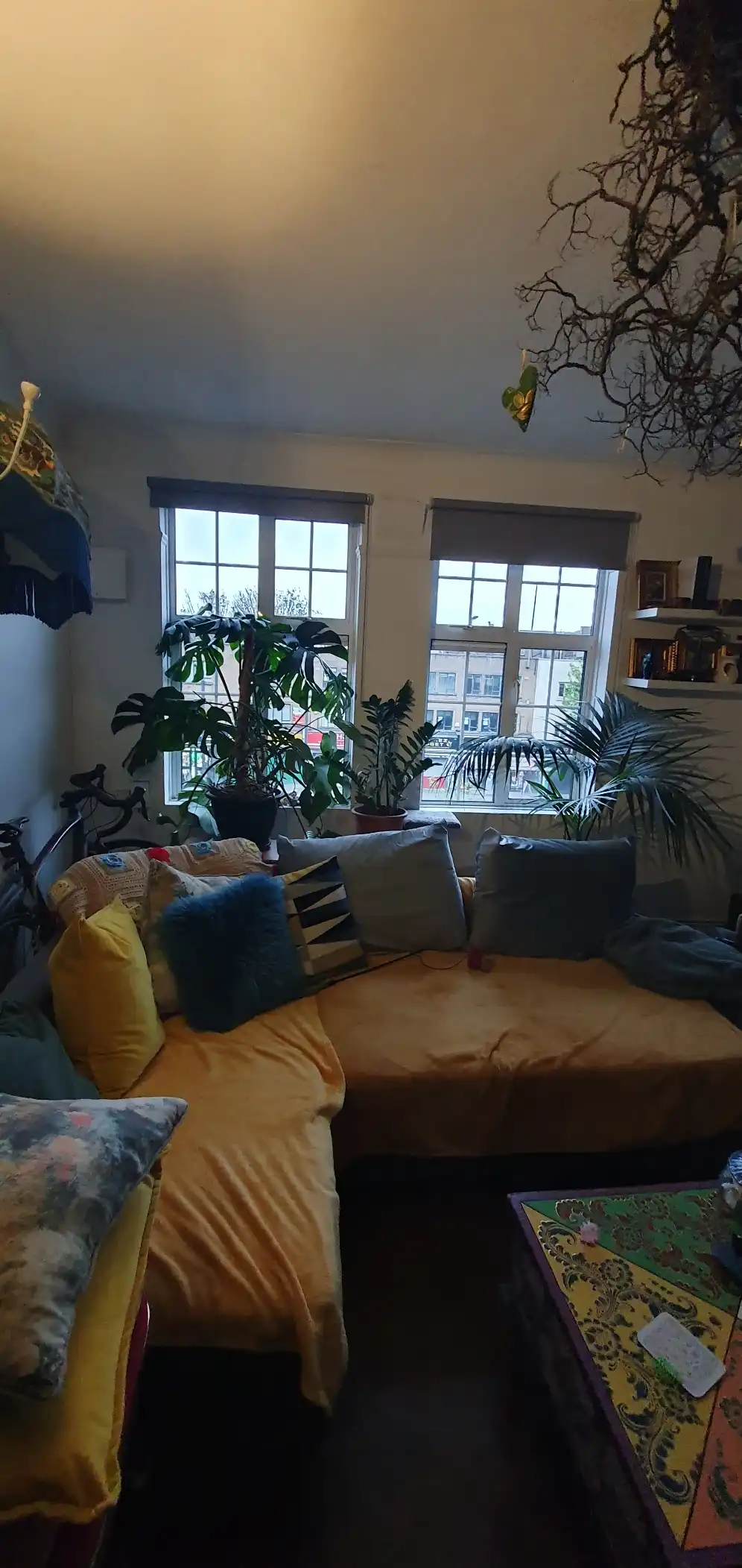 image-11
