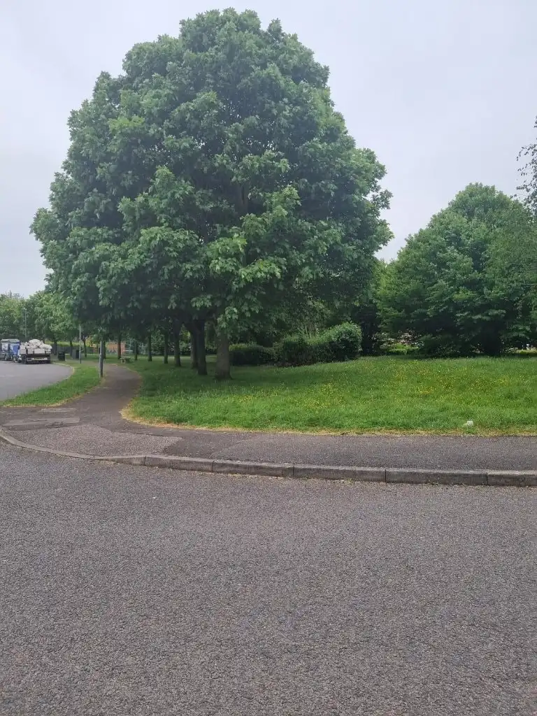 image-14