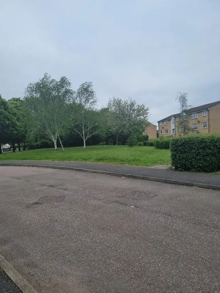 image-12