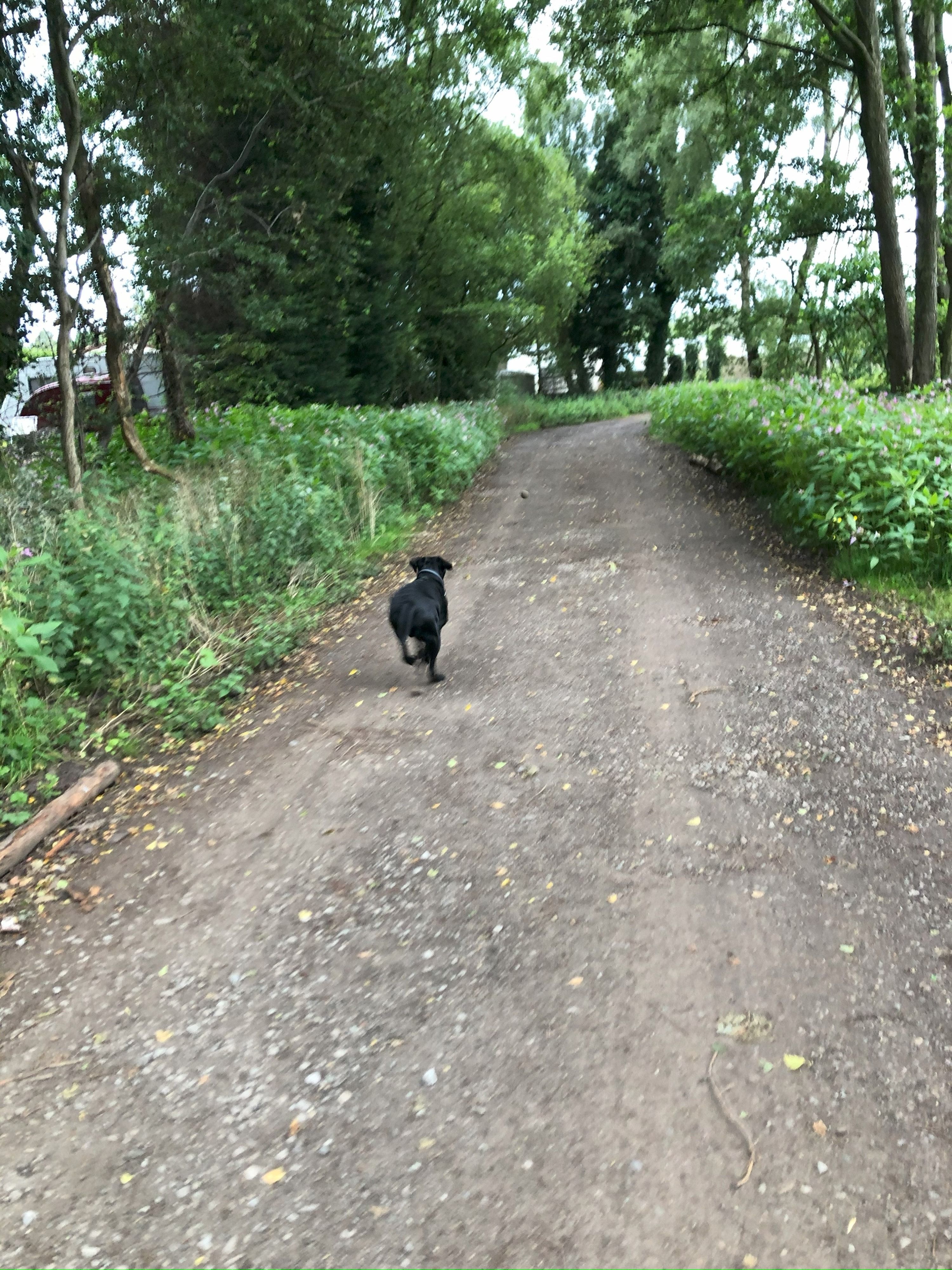 image-10