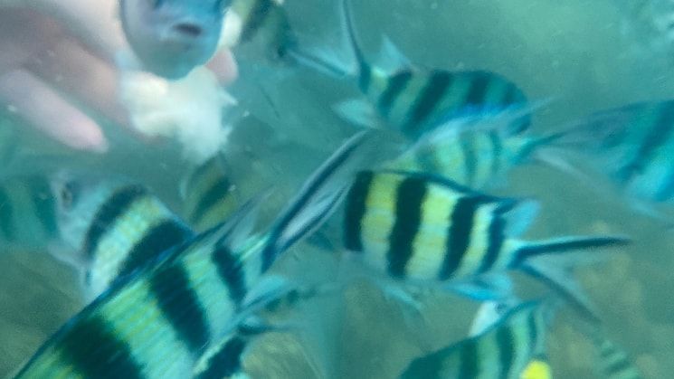 image-3