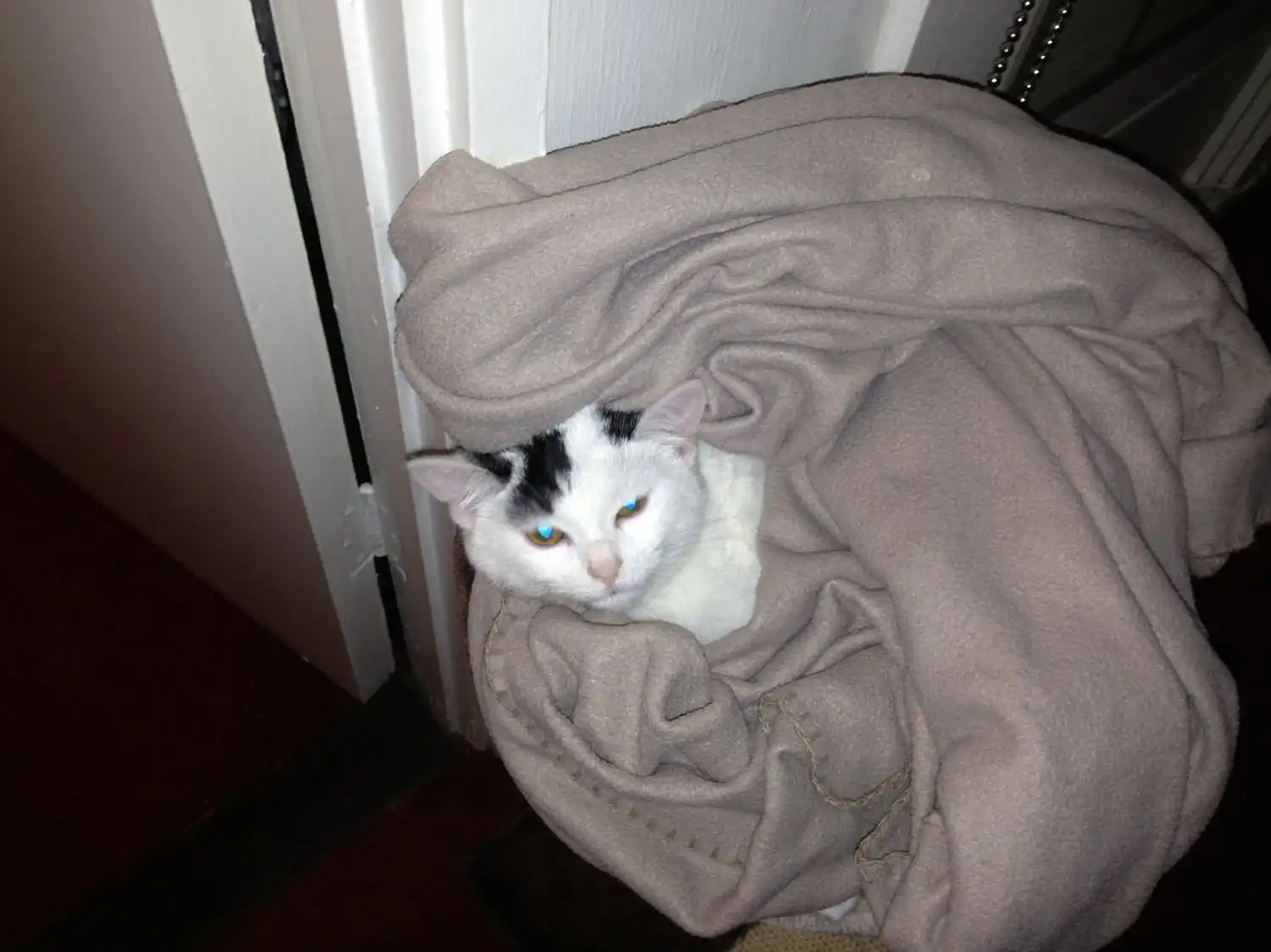 image-13