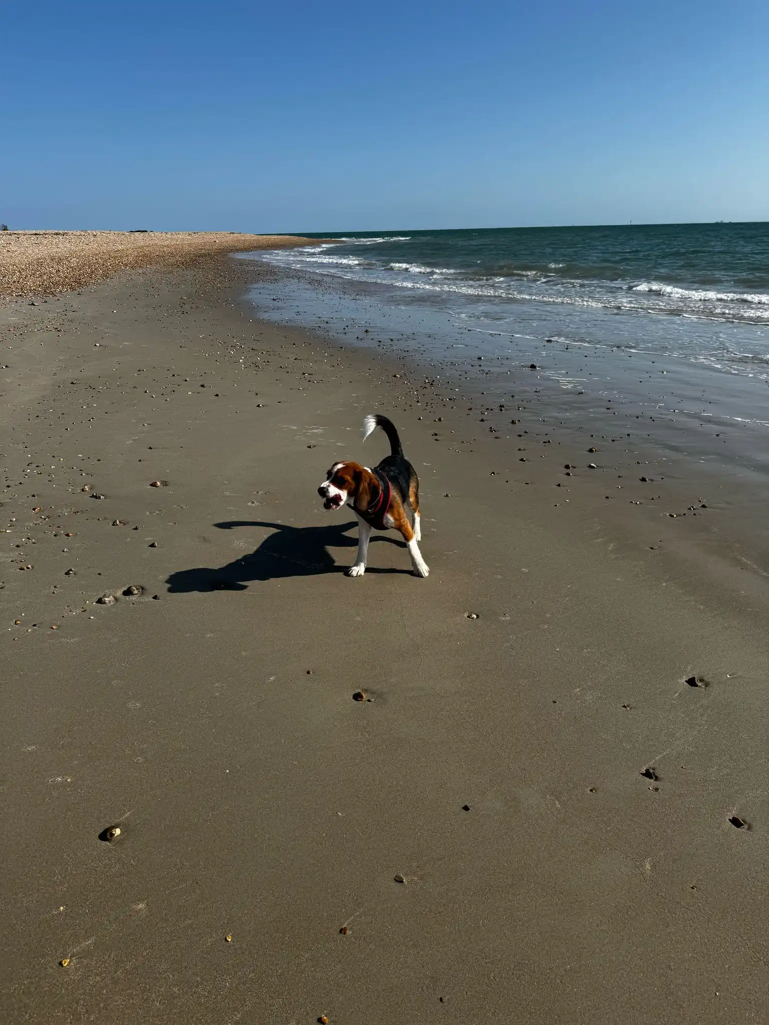 image-16