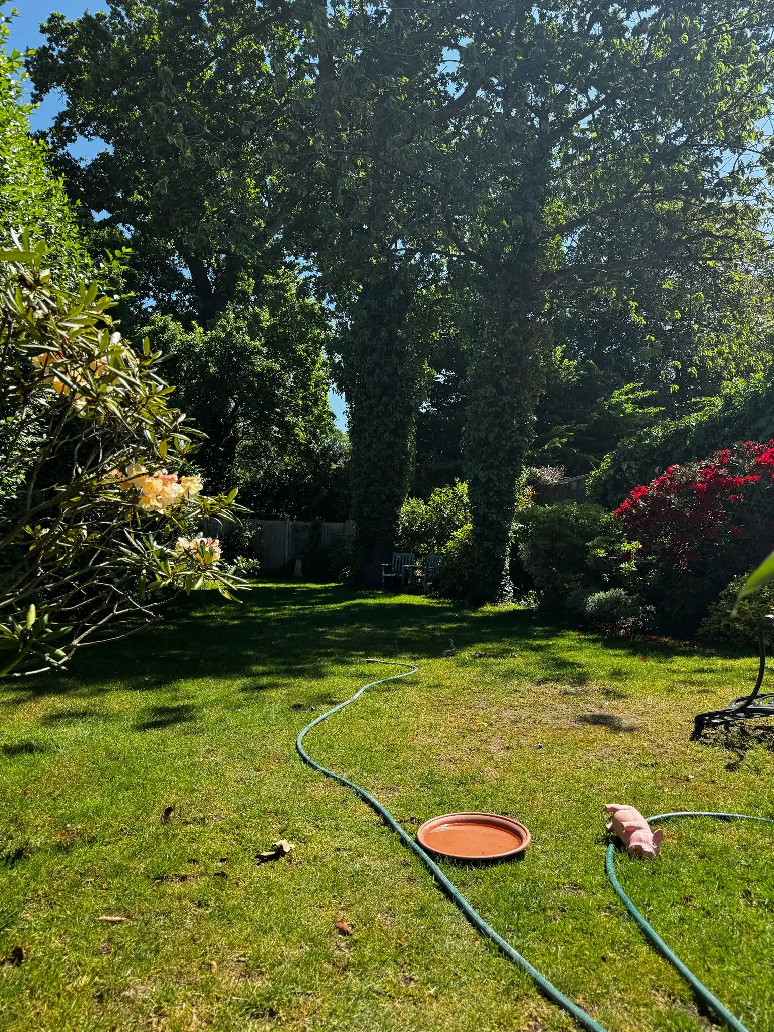 image-23