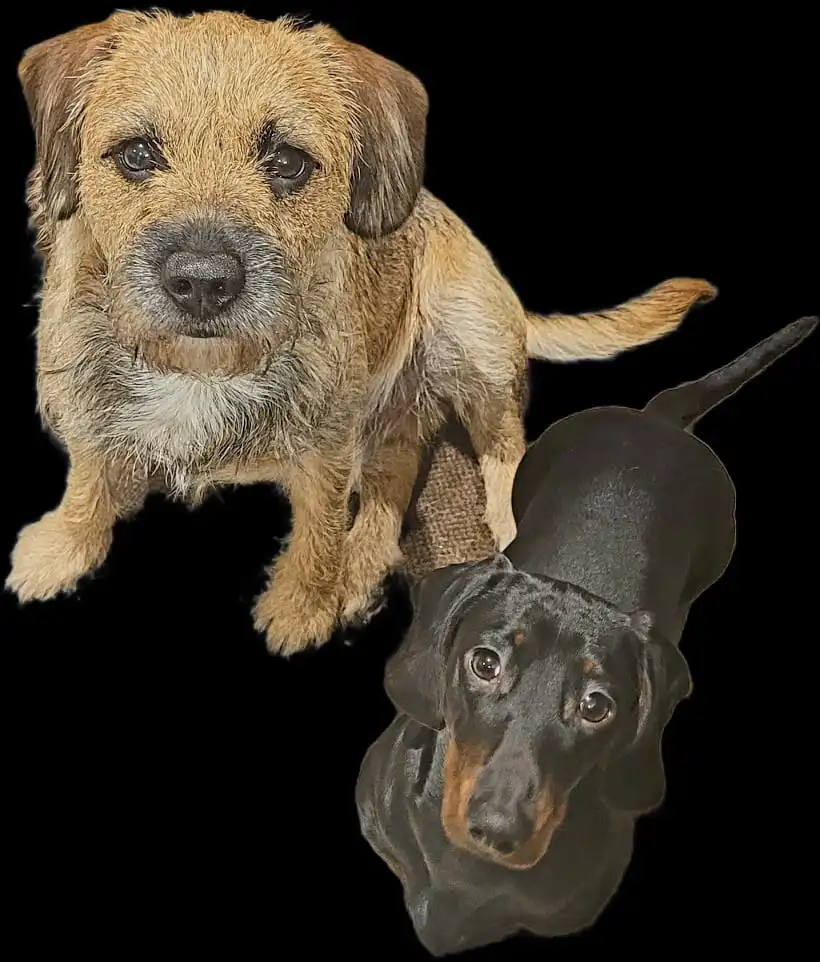 image-15