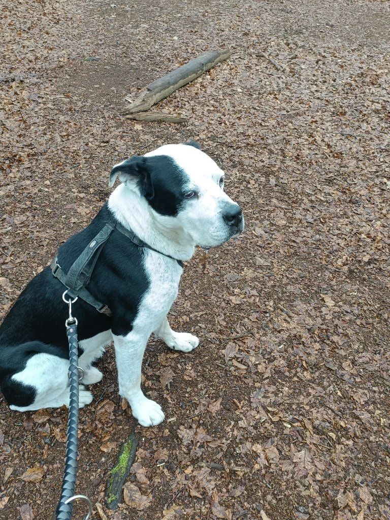 image-43