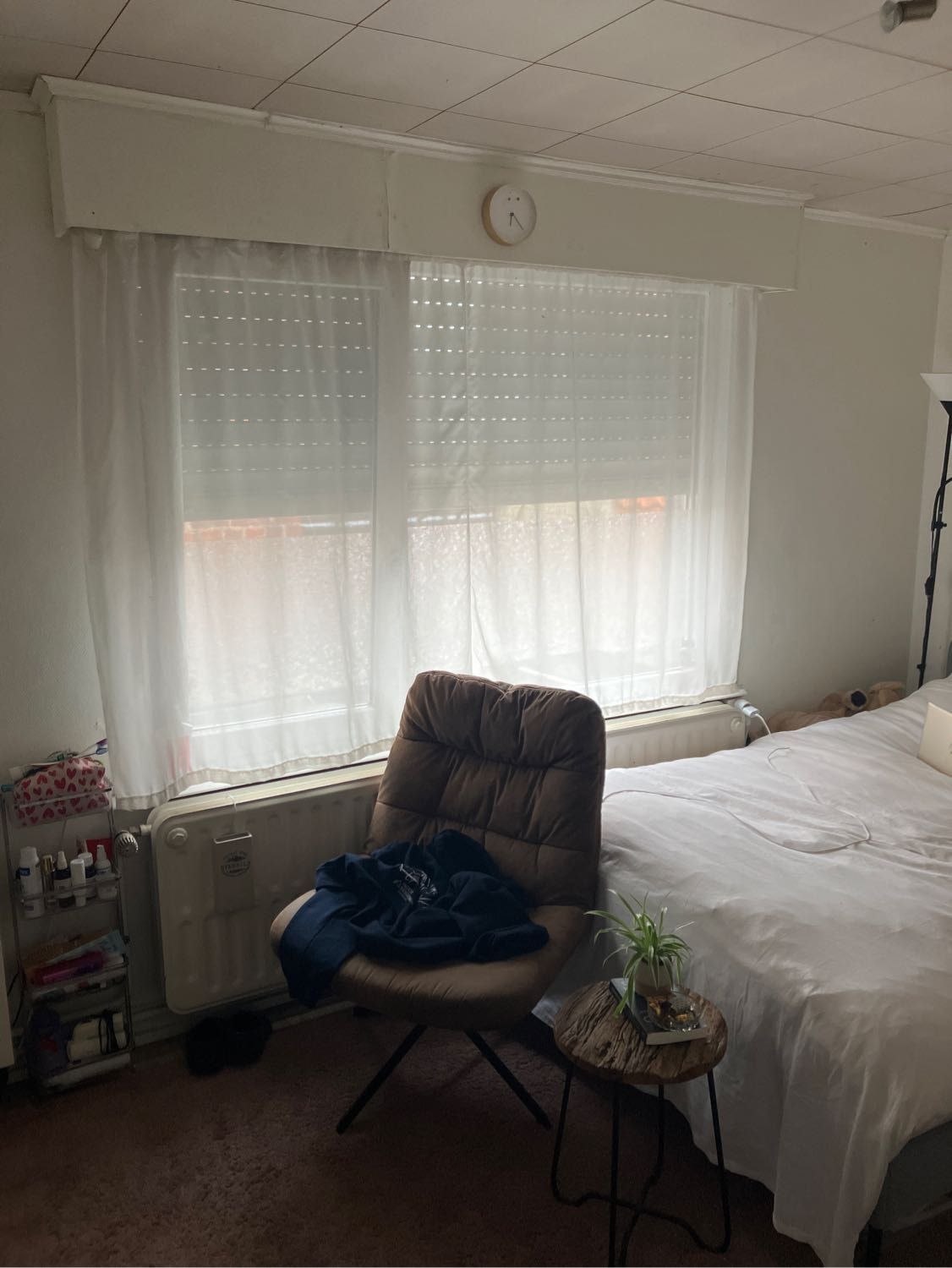 image-6