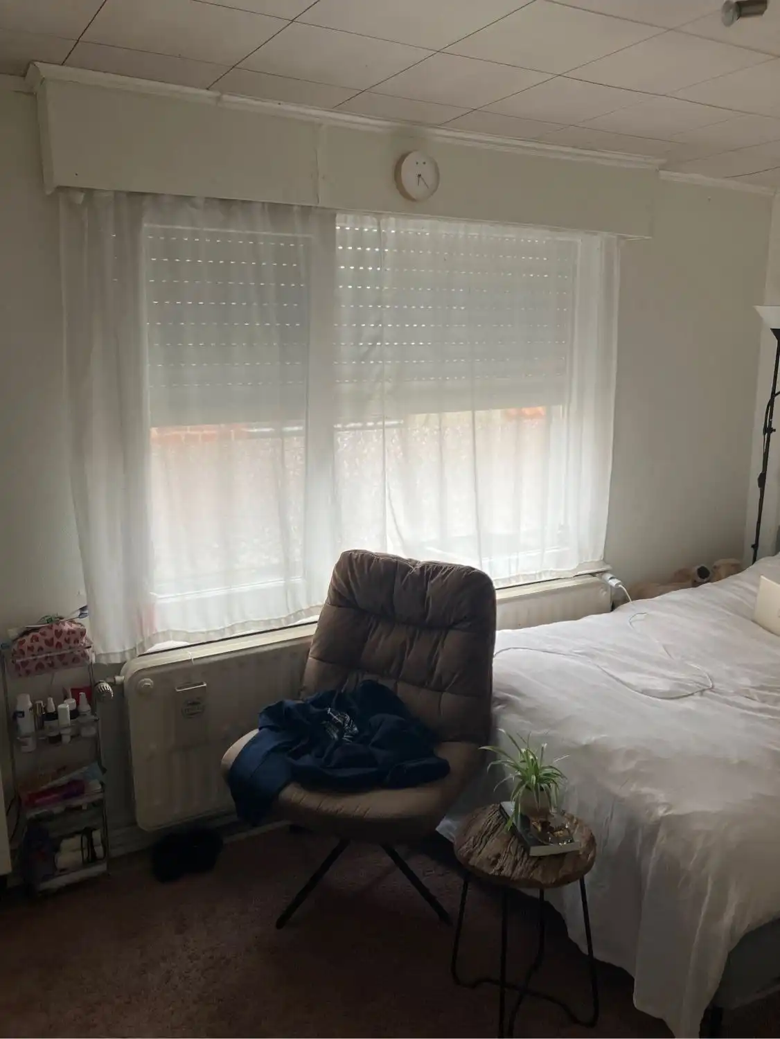 image-6