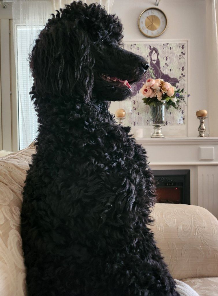 image-38