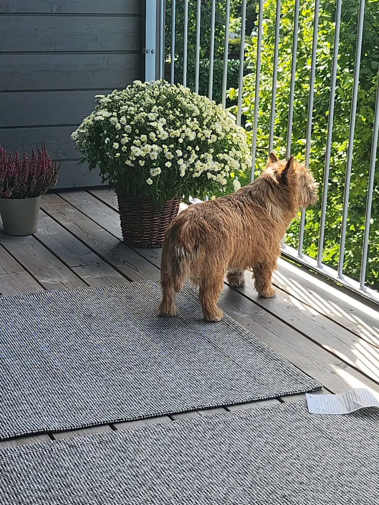 image-55