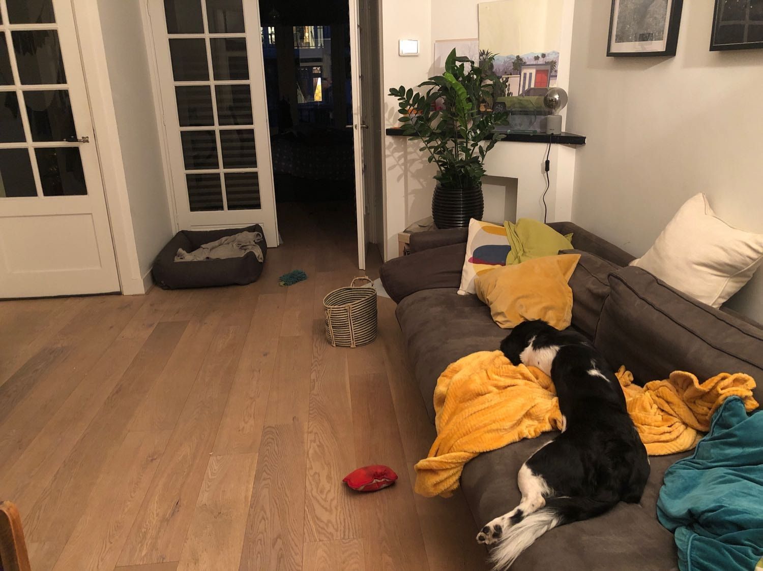 image-5