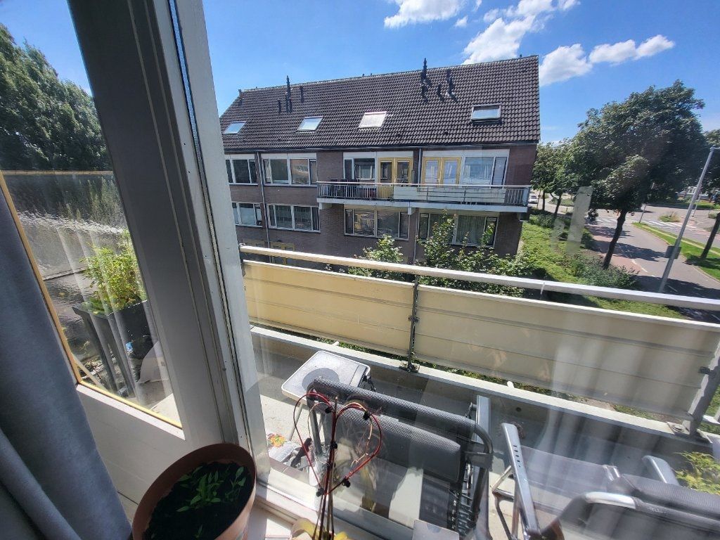 image-18