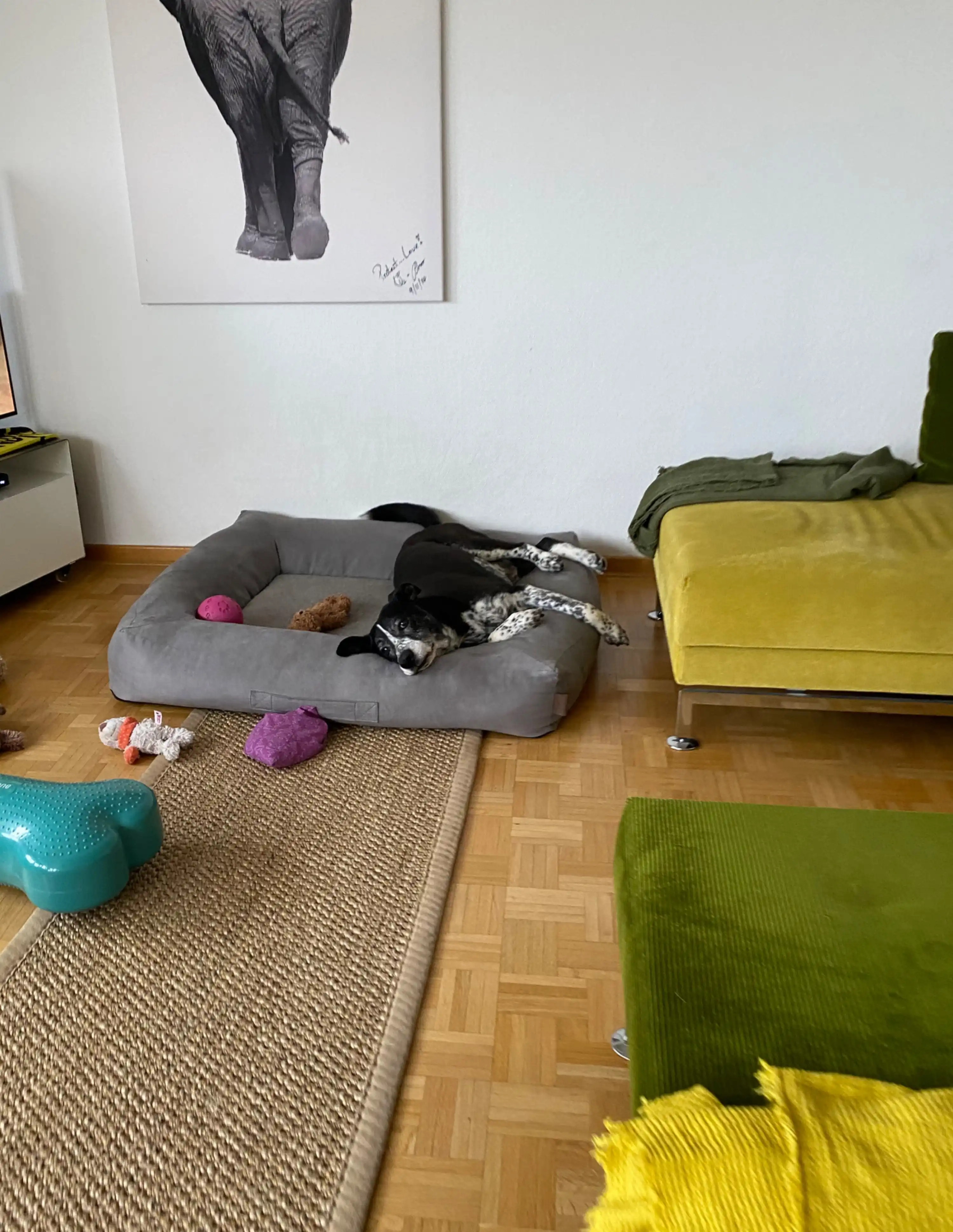 image-20