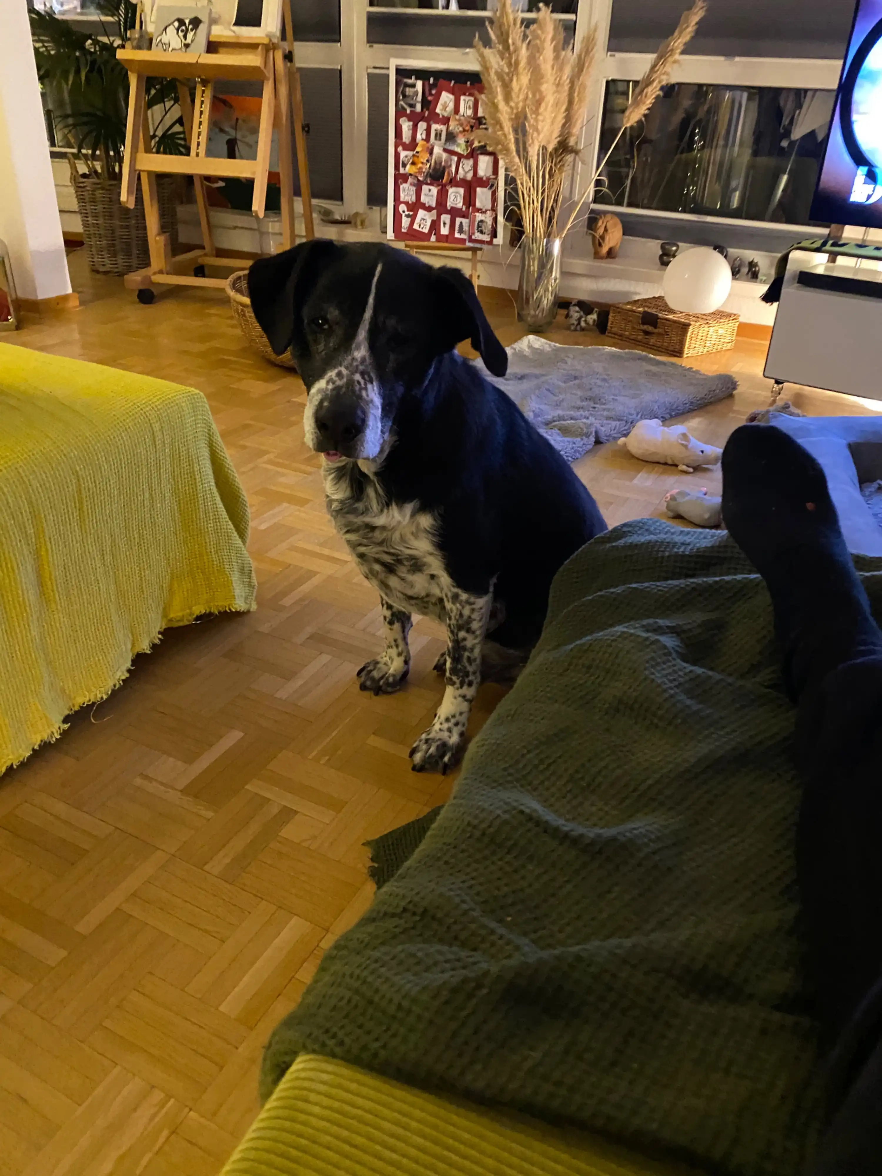 image-18
