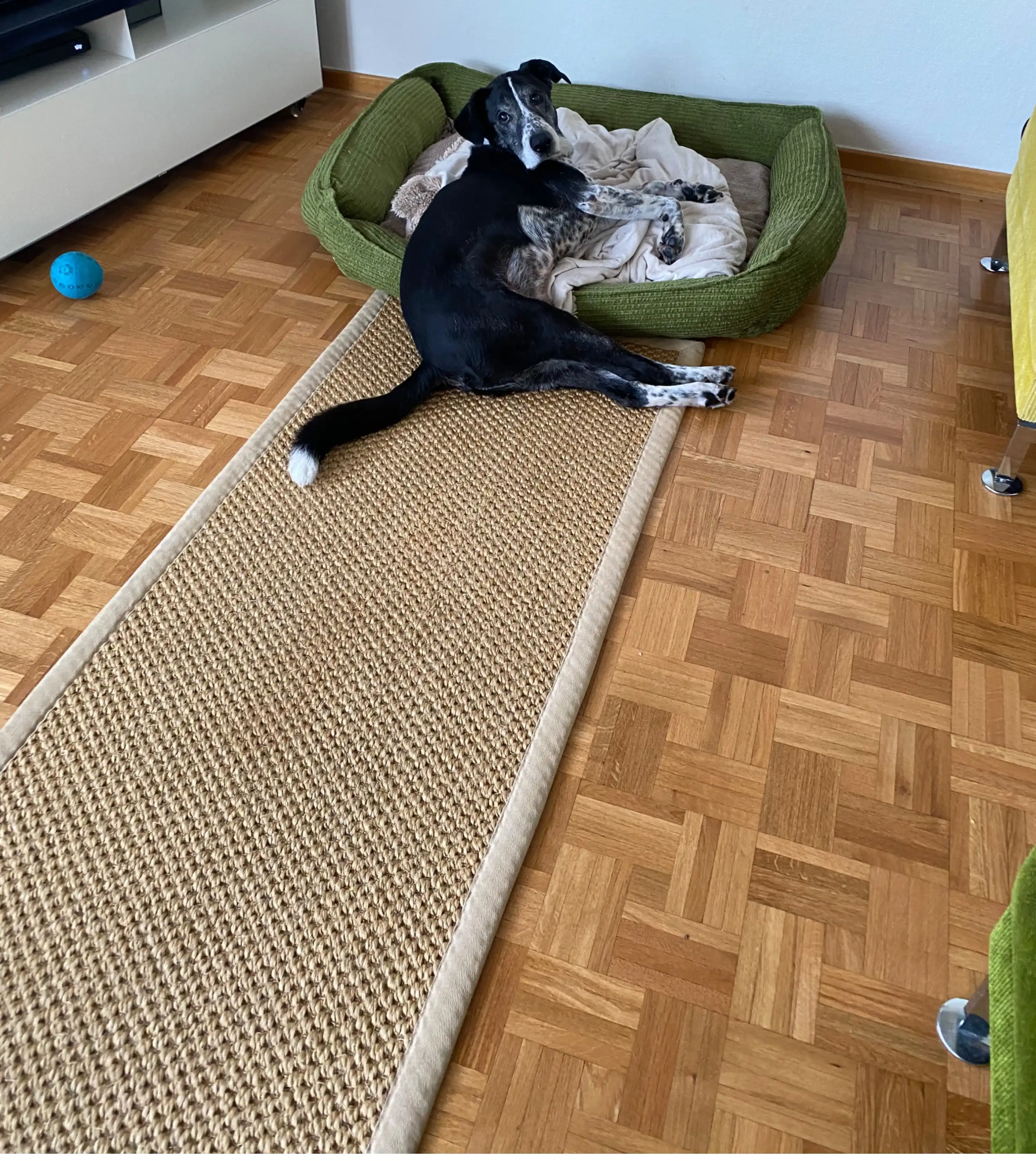 image-13