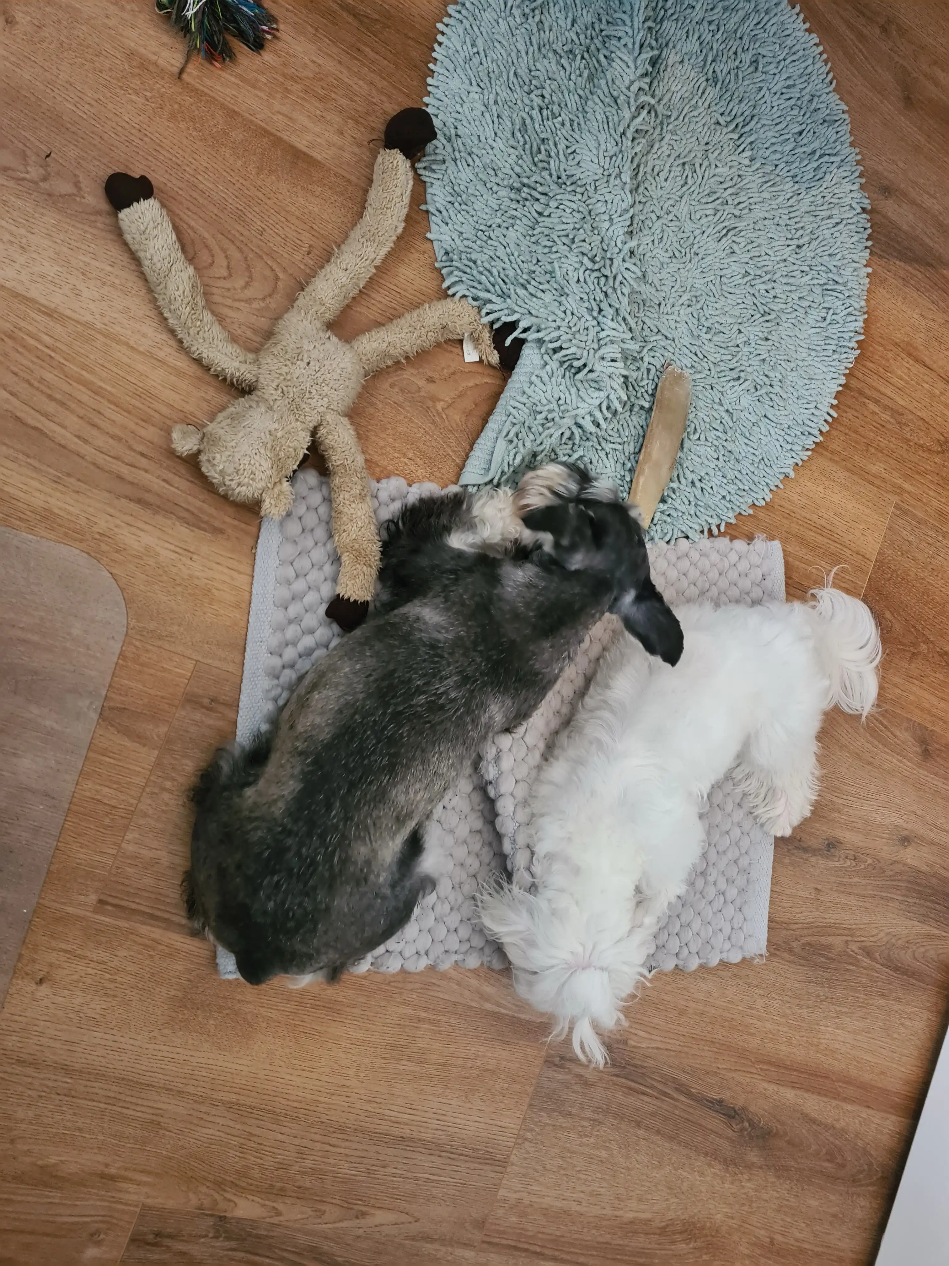 image-6