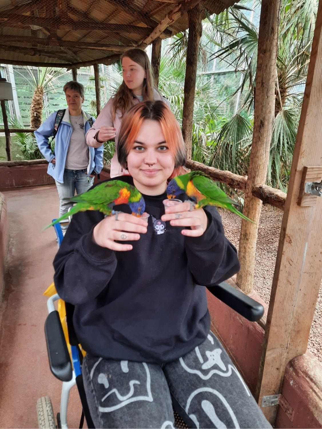 image-10