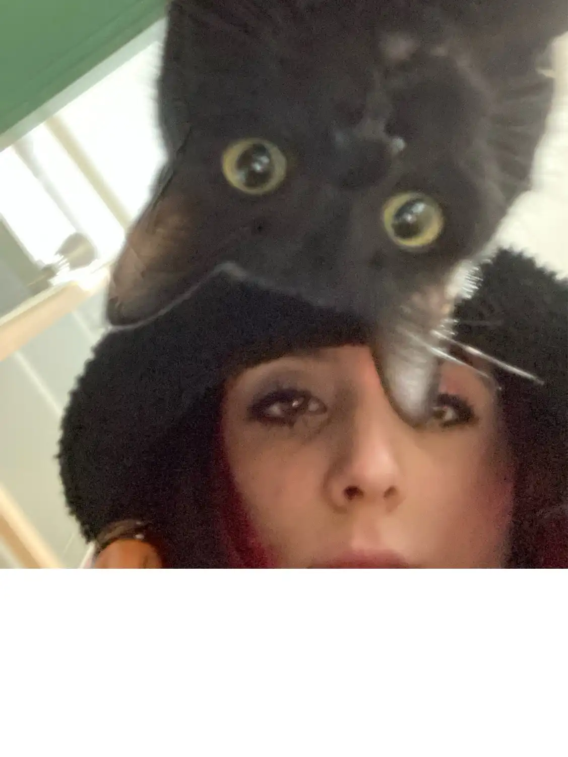 image-6