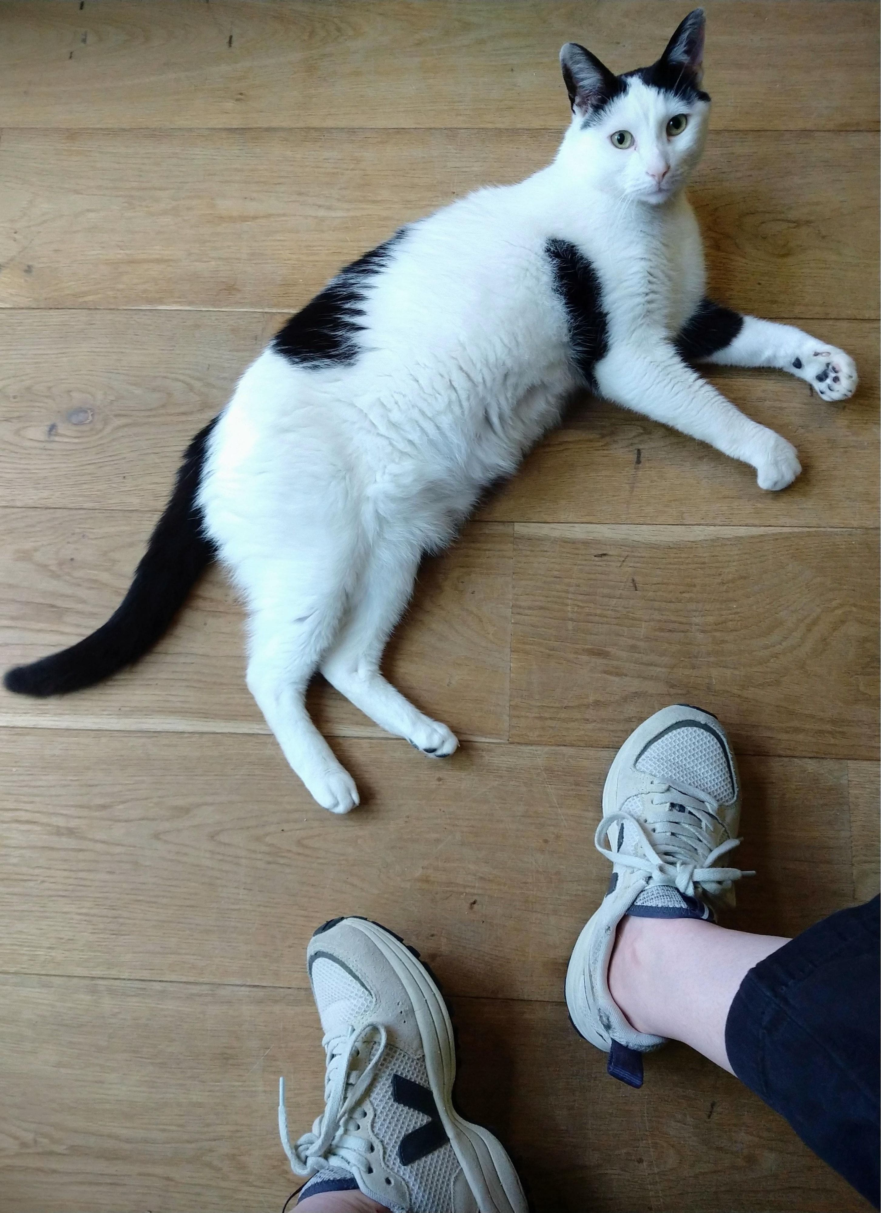 image-7