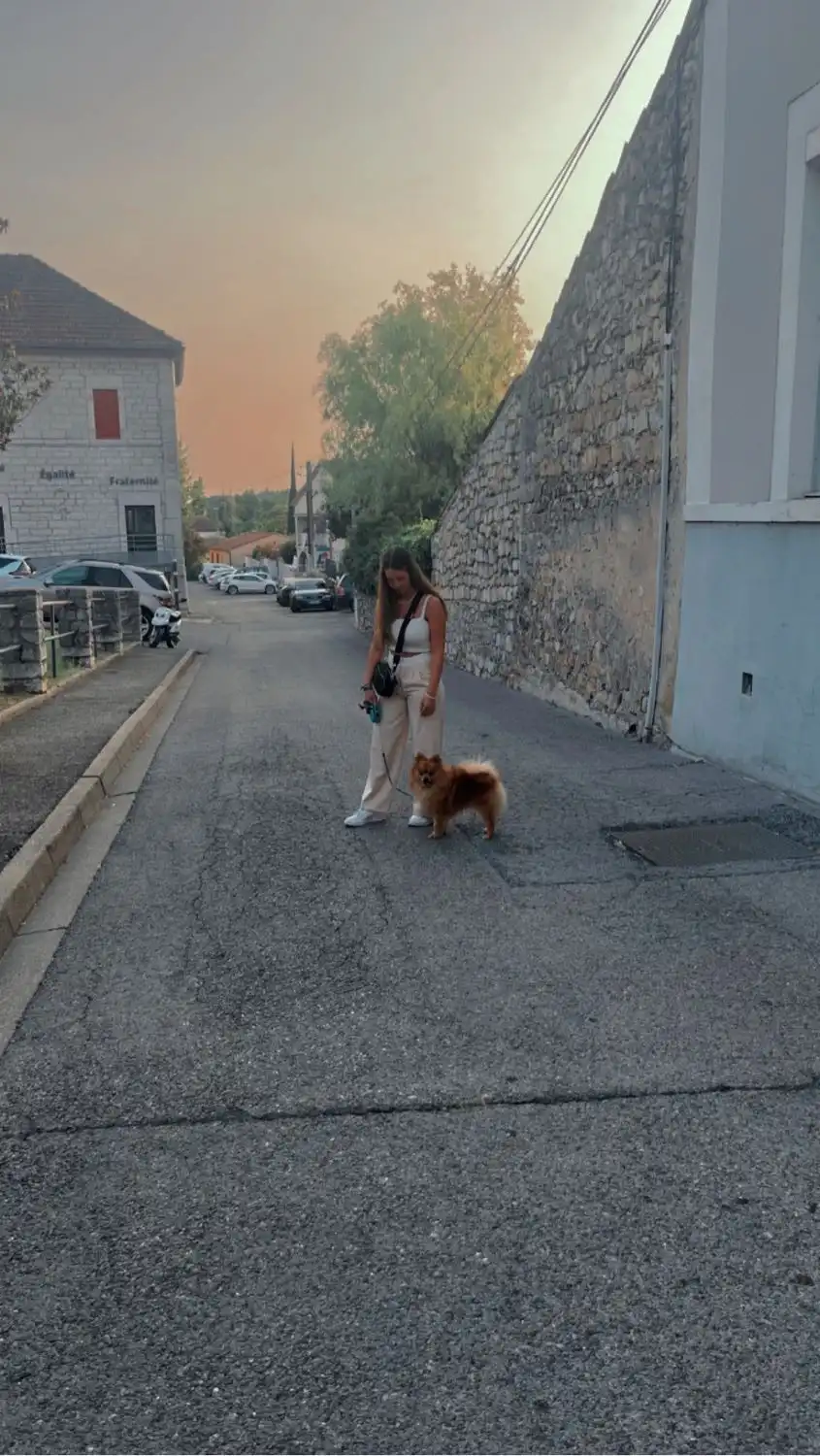 image-14
